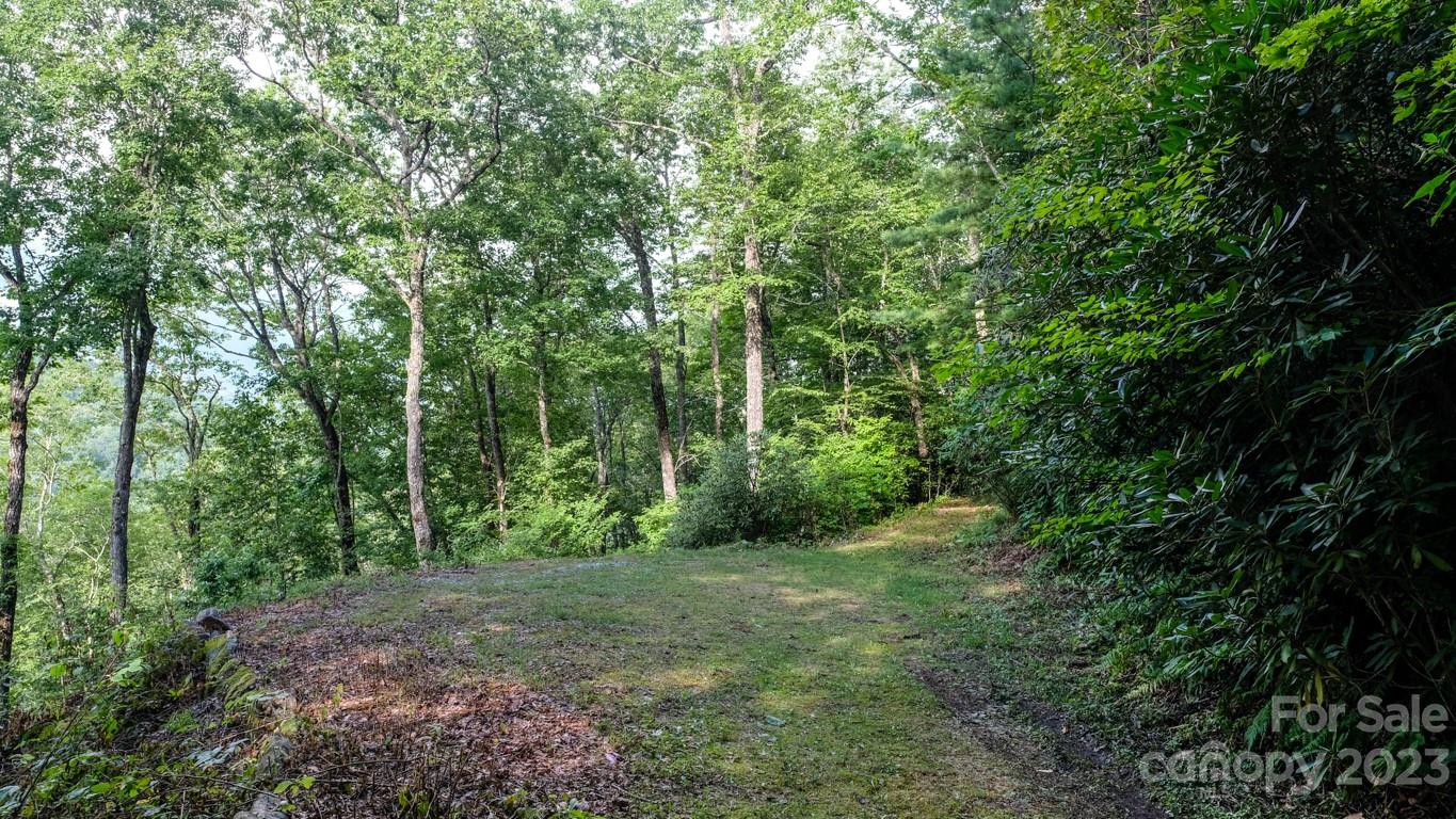Lot at 427 Quarry Road, Lake Toxaway, photo 9 of 21