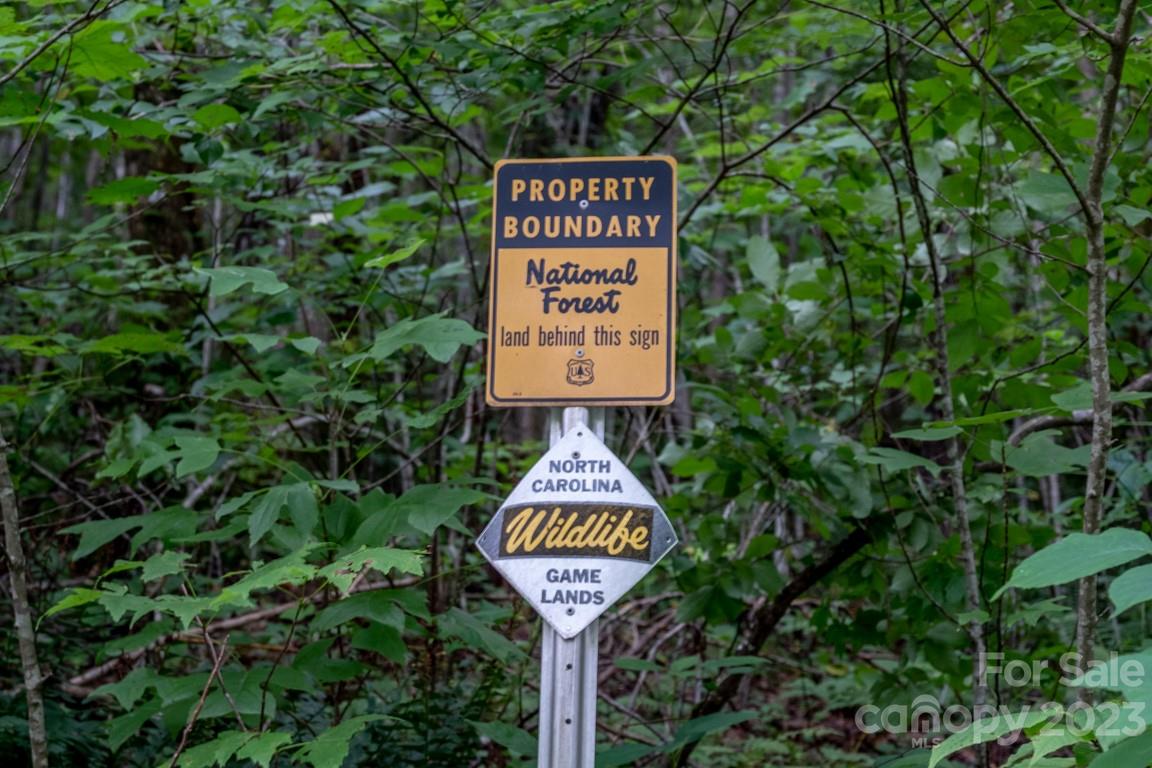Lot at 427 Quarry Road, Lake Toxaway, photo 12 of 21
