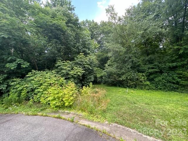 Lot at 192, 188, 196, 197 & 193 Riverbirch Drive SE, Concord, photo 2 of 6
