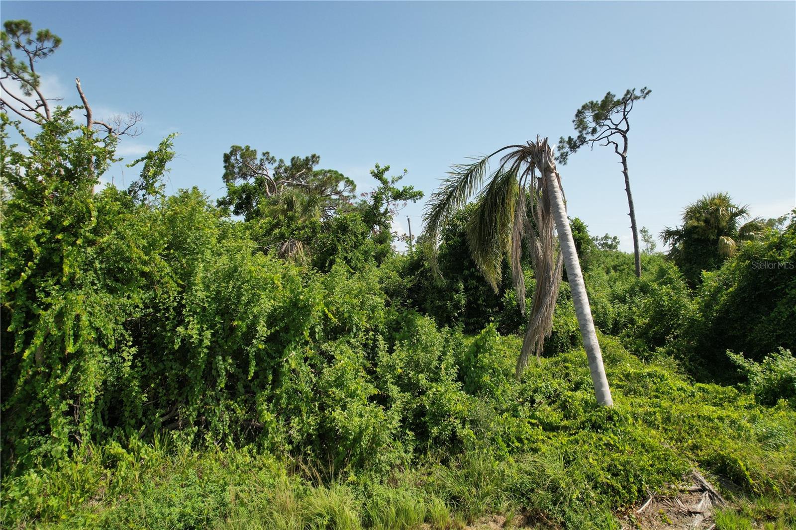 Land at 507 MERIDAN AVE NW, PORT CHARLOTTE, photo 4 of 30