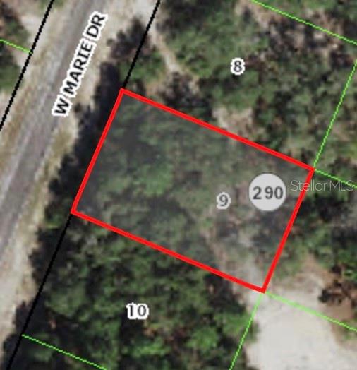 3050 W MARIE DR