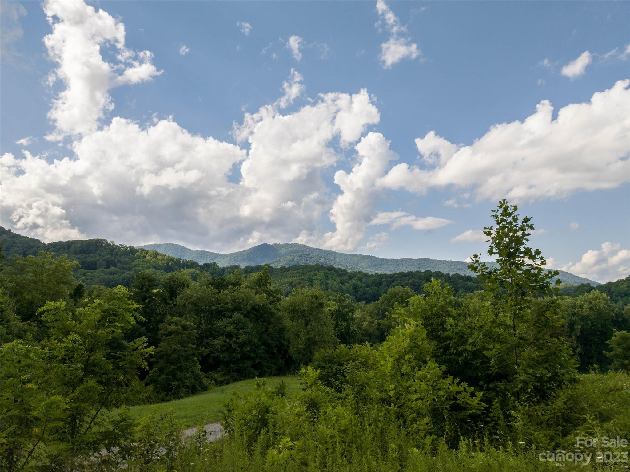Acreage at 00 Skyland Drive, Waynesville, photo 2 of 22