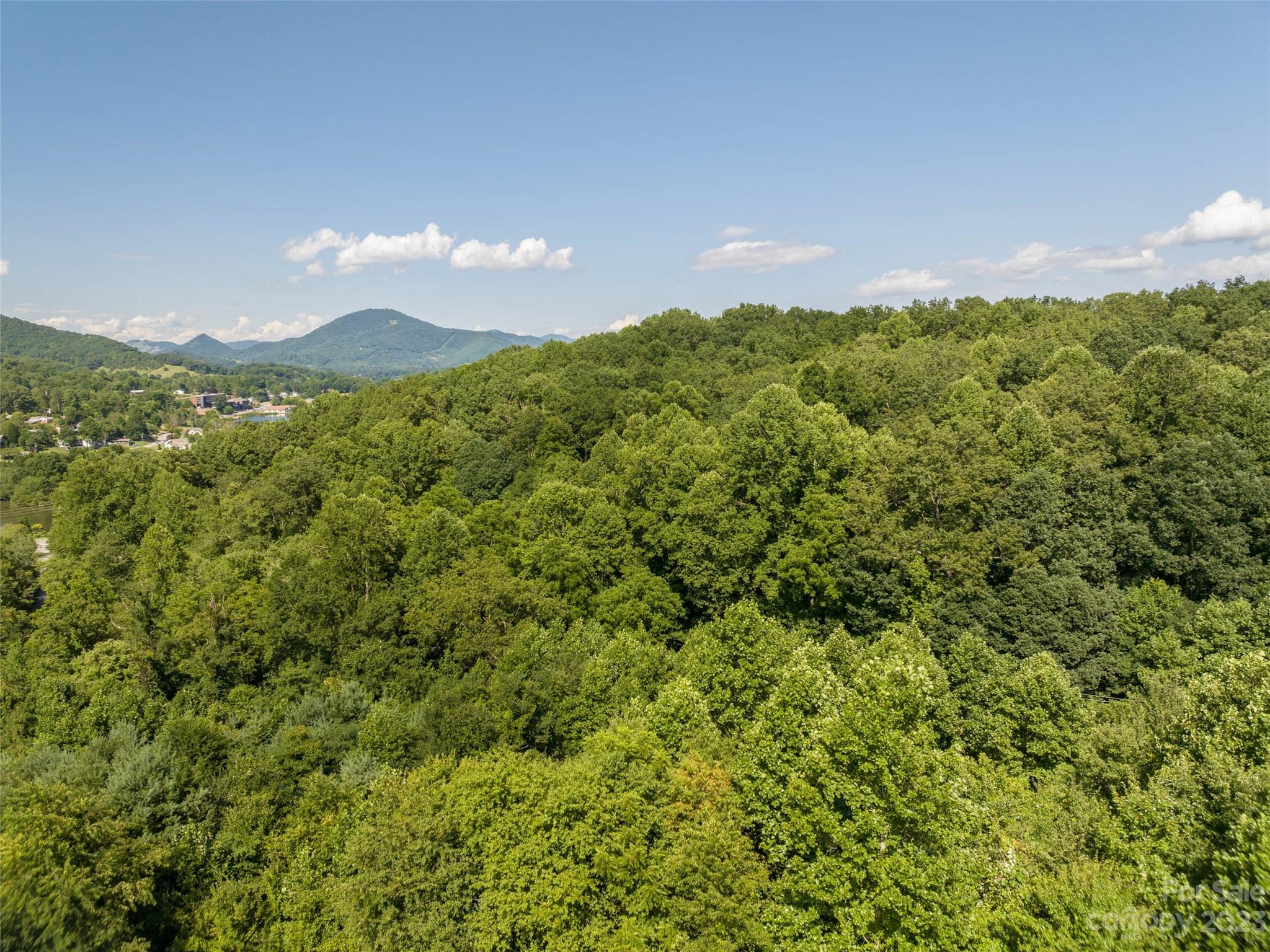 Unimproved Commercial at 00 Jule Noland Drive, Waynesville, photo 10 of 20