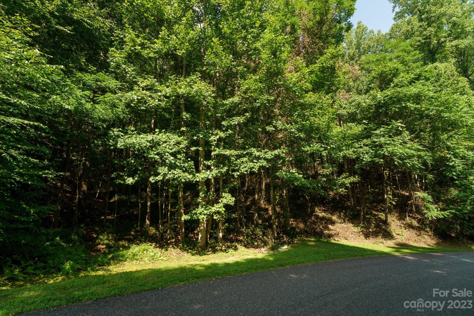 Lot at 317 Boundary Tree Pass, Arden, photo 9 of 13