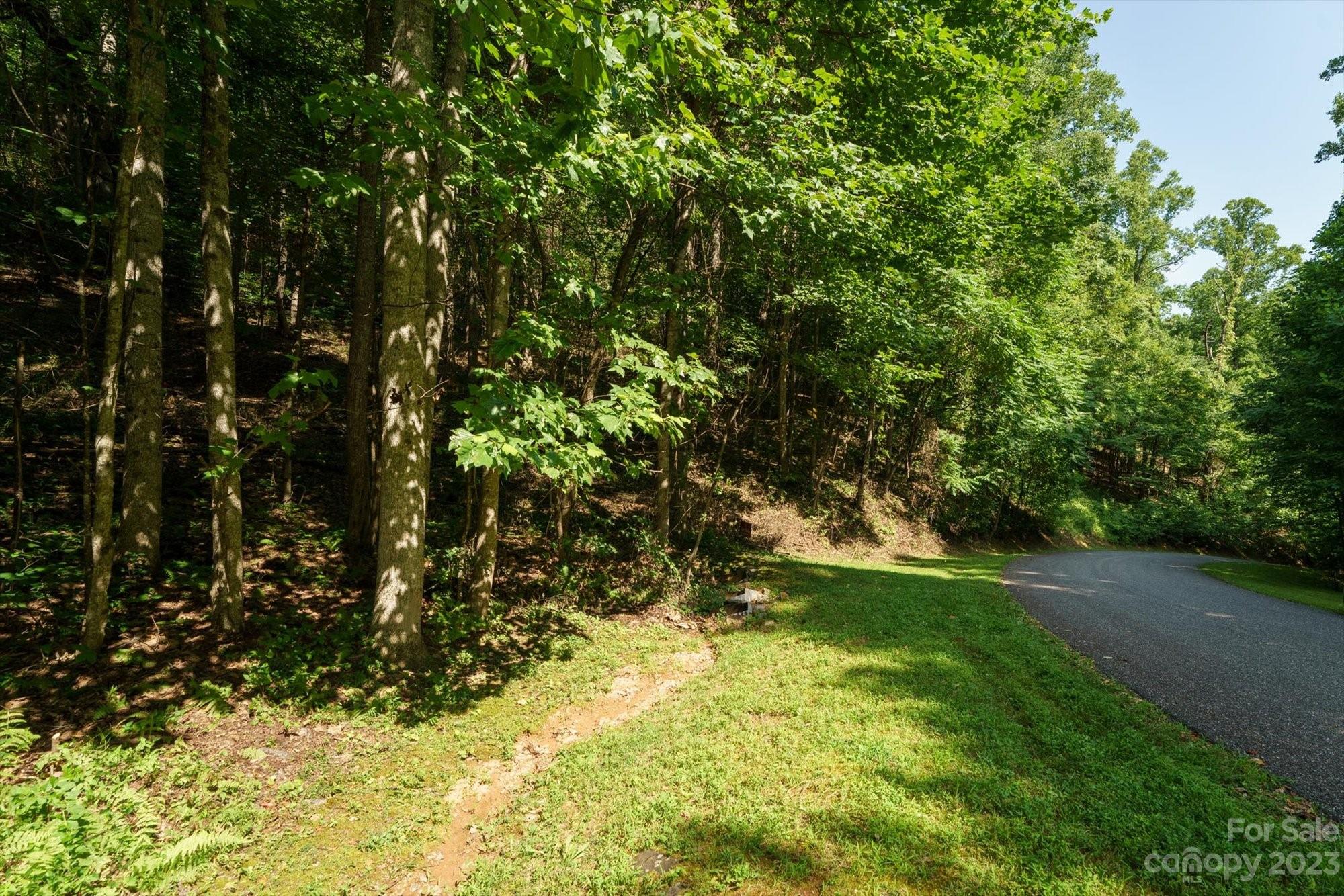 Nice, flat area for drive already outlined by old logging road - 317 Boundary Tree Pass, Arden