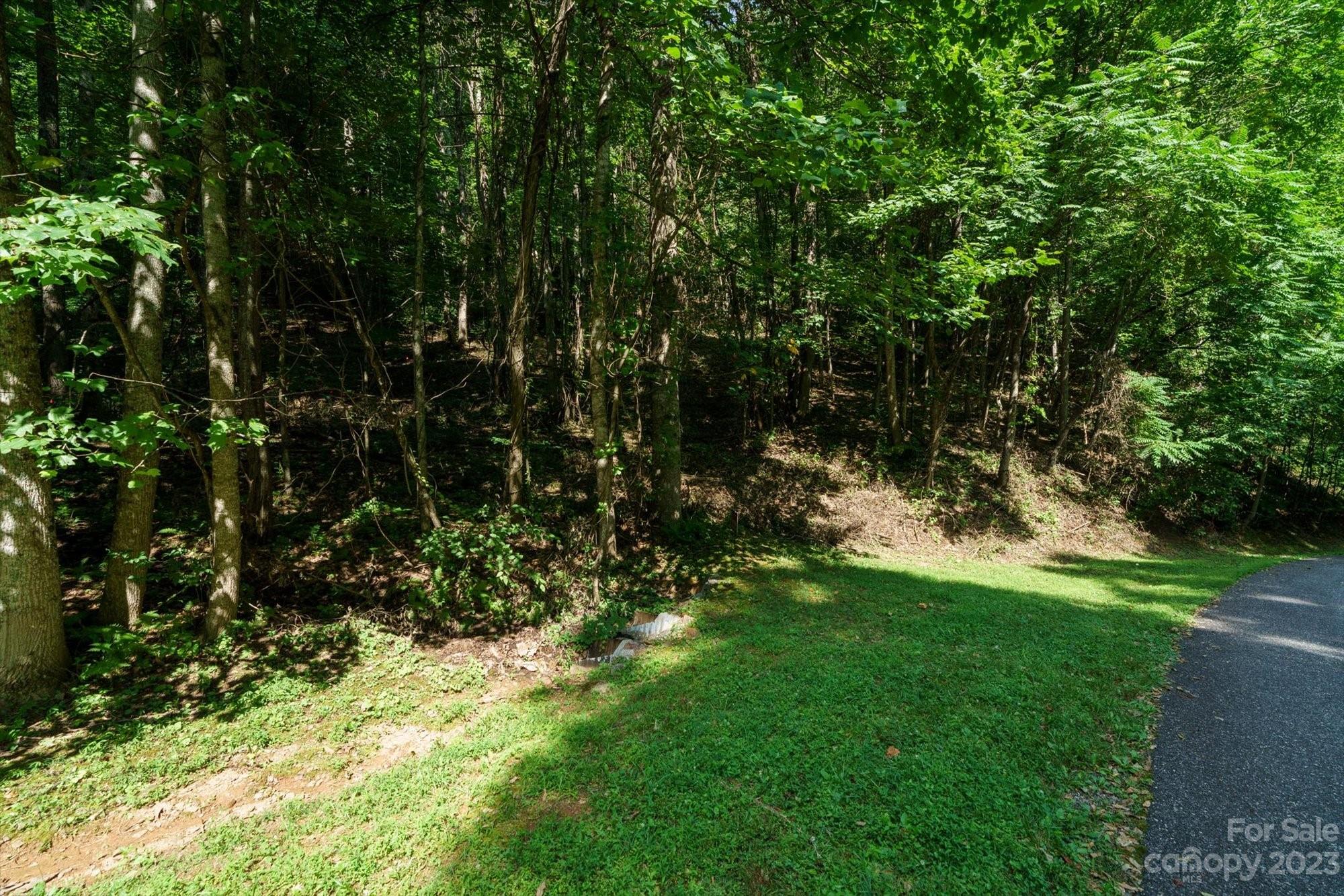 Lot at 317 Boundary Tree Pass, Arden, photo 12 of 13