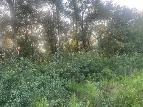 Lots 2 & 3 SW 156 AVE