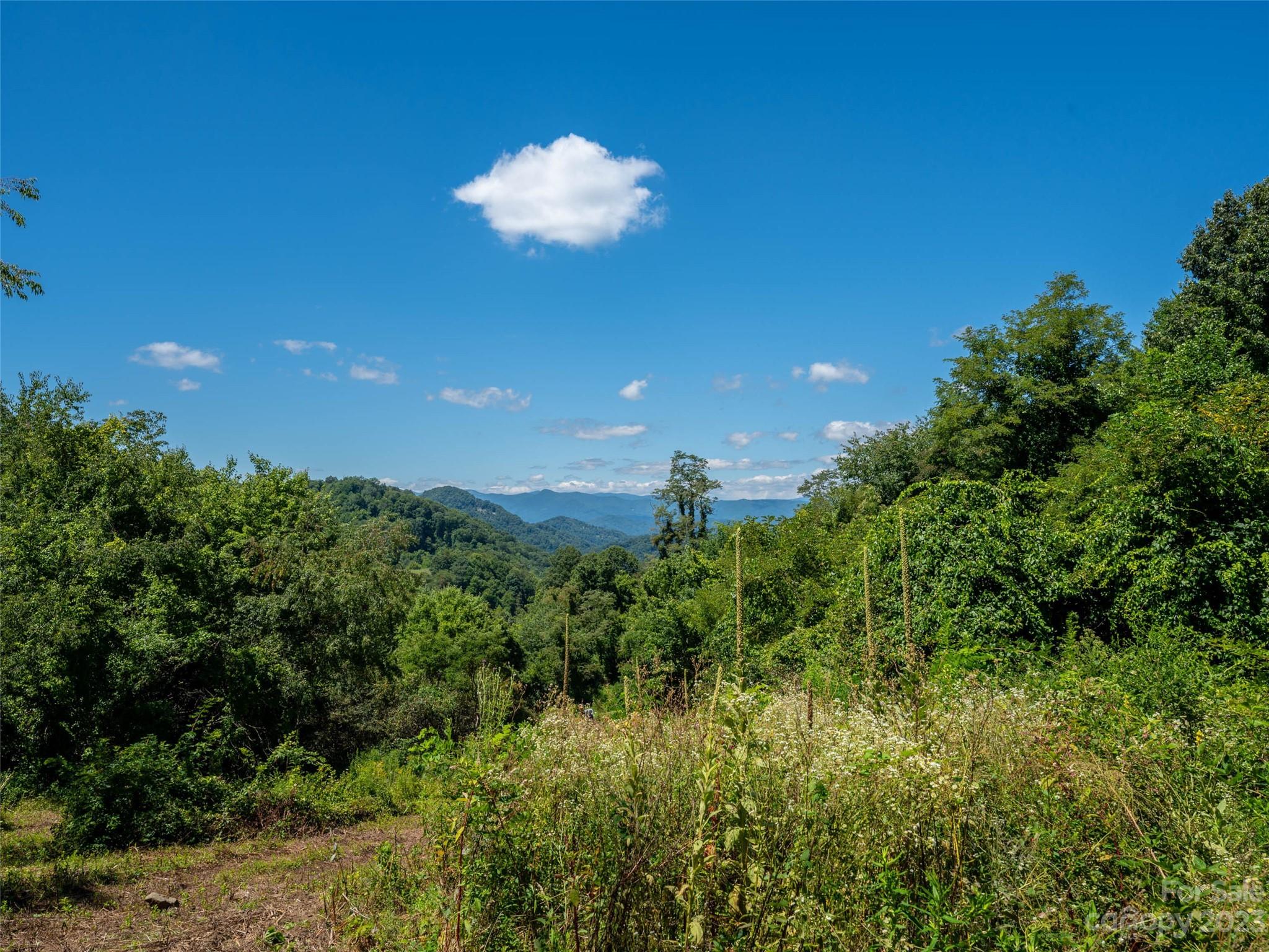 Acreage at 00 Crabtree Mountain Road, Clyde, photo 4 of 23