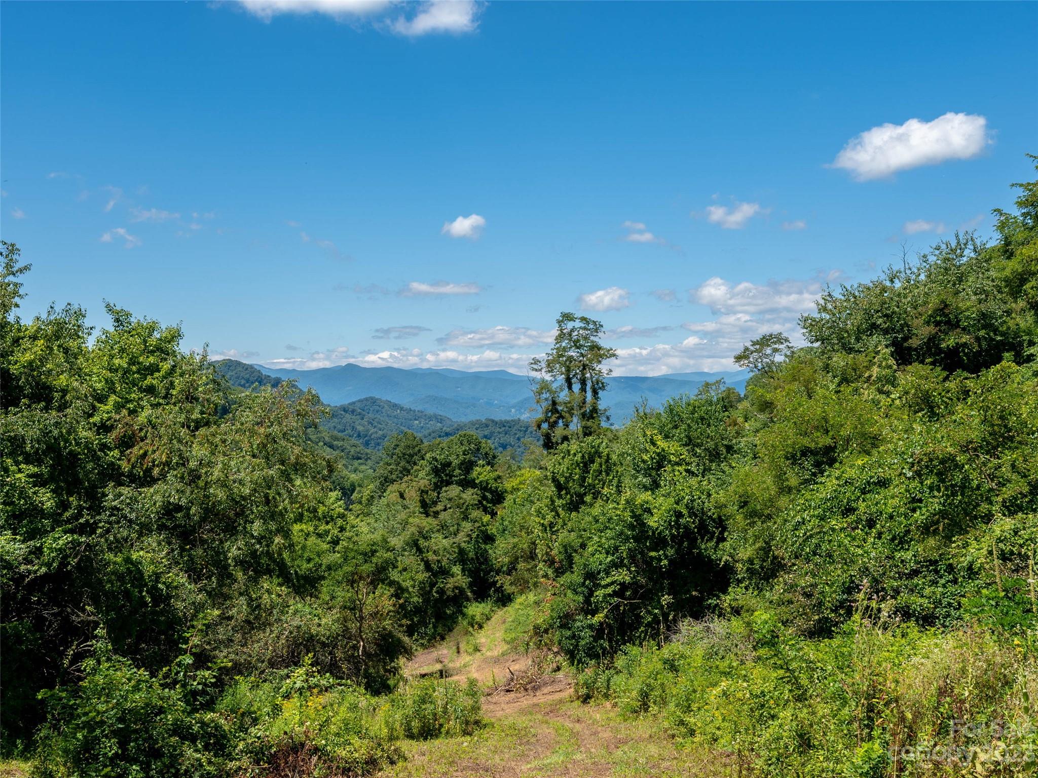 Acreage at 00 Crabtree Mountain Road, Clyde, photo 5 of 23