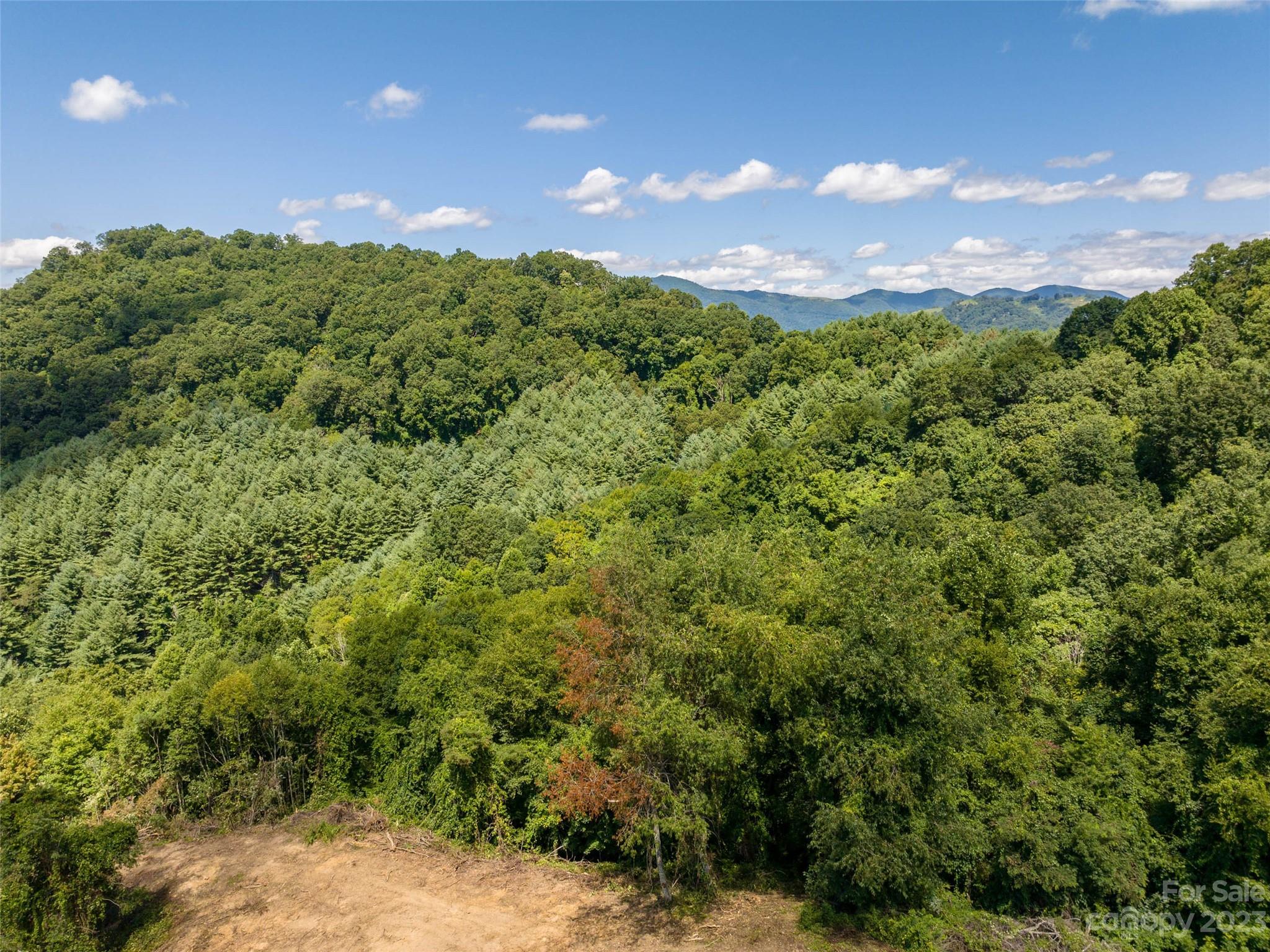 Acreage at 00 Crabtree Mountain Road, Clyde, photo 11 of 23