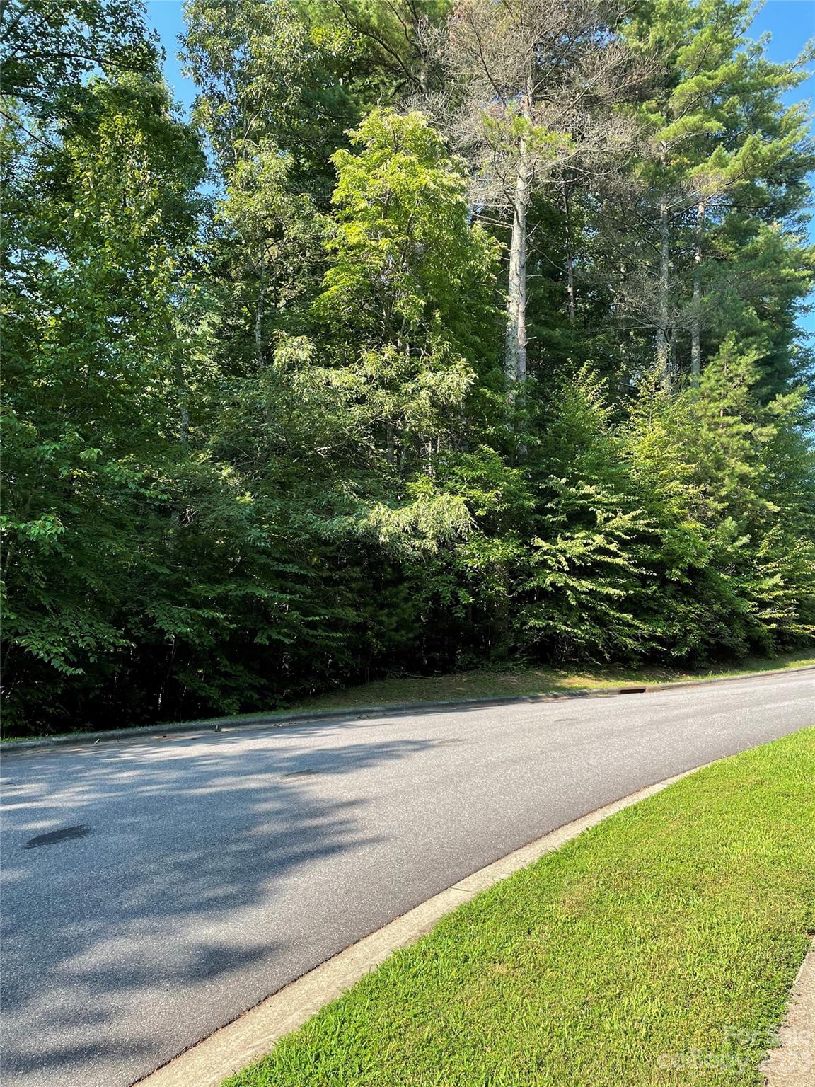 Located on gentle curve - V48&49 Camptown Road, Brevard