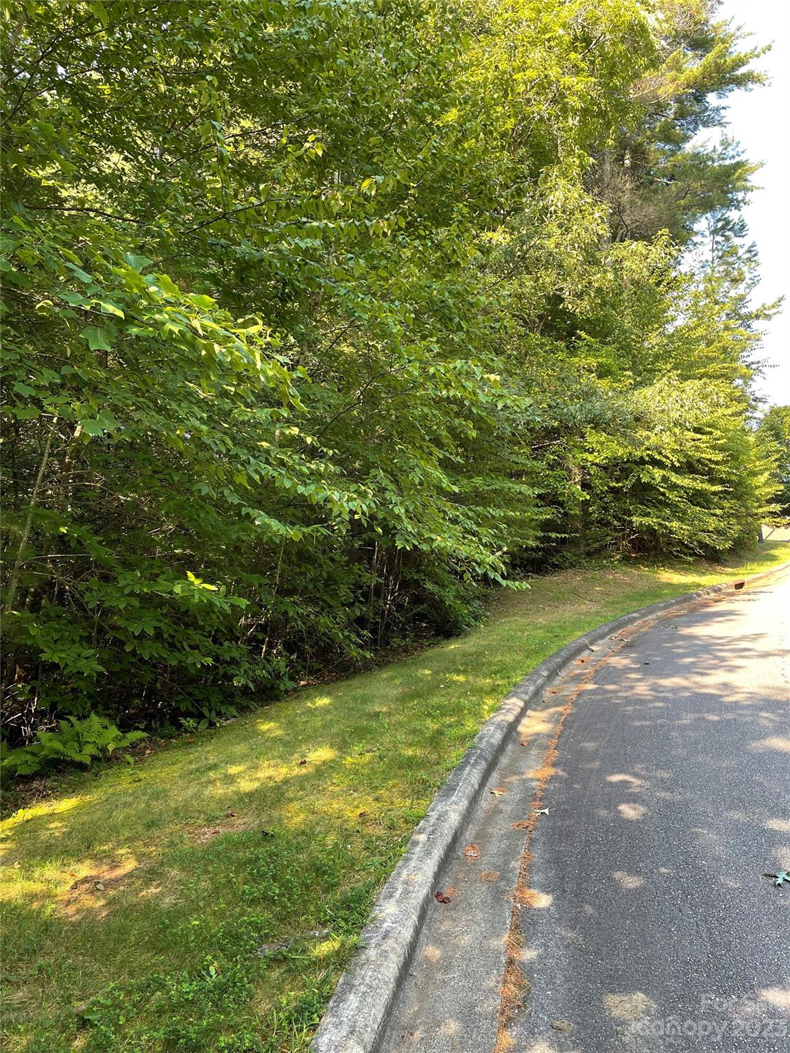Lot at V48&49 Camptown Road, Brevard, photo 3 of 8
