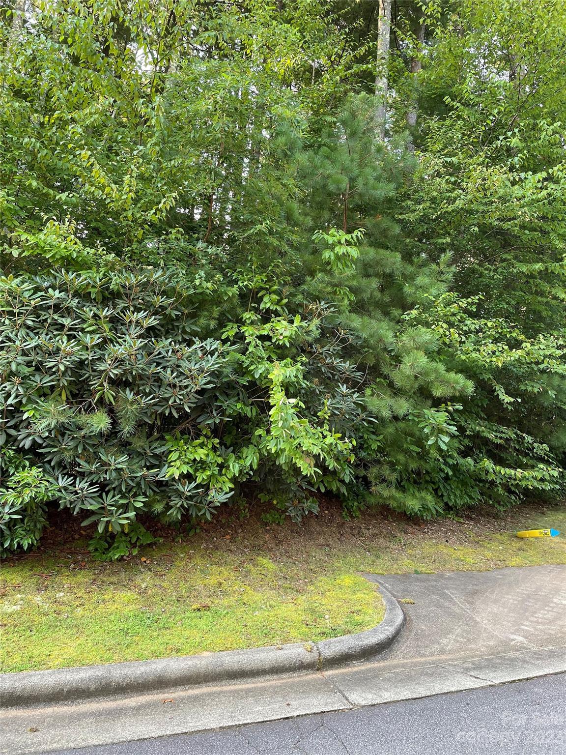 Driveway cut - V48&49 Camptown Road, Brevard