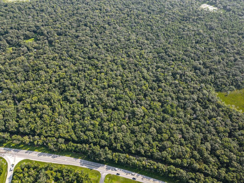 Land at PONCE DE LEON BLVD, BROOKSVILLE, photo 8 of 30