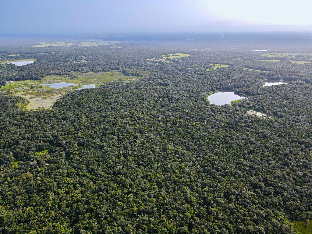 Land at PONCE DE LEON BLVD, BROOKSVILLE, photo 9 of 30