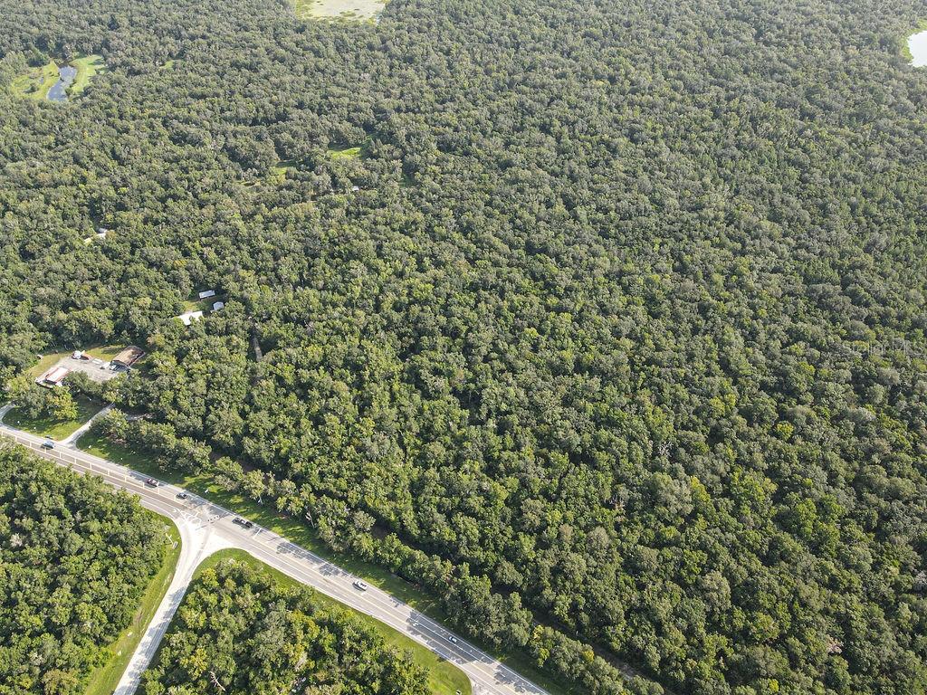 Land at PONCE DE LEON BLVD, BROOKSVILLE, photo 17 of 30
