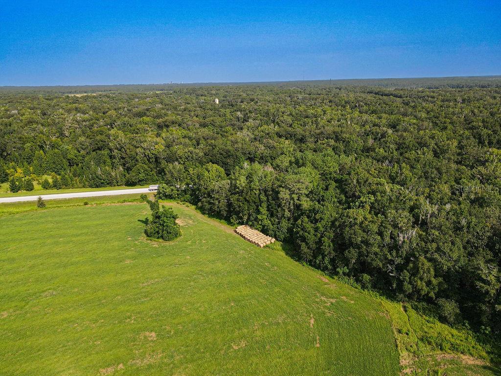 Land at PONCE DE LEON BLVD, BROOKSVILLE, photo 25 of 30