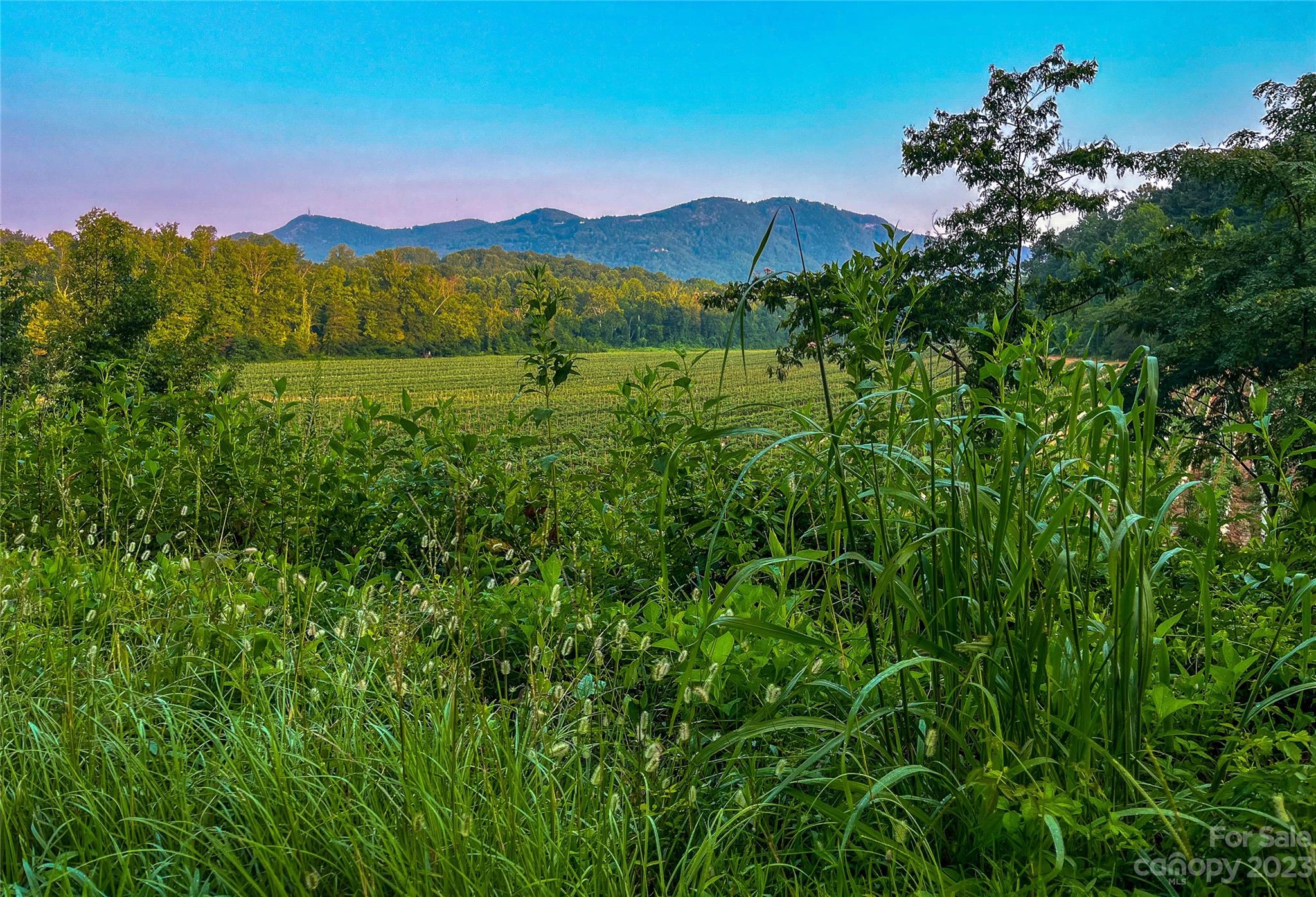 Acreage at 0 Fox Mountain Road, Columbus, photo 4 of 4