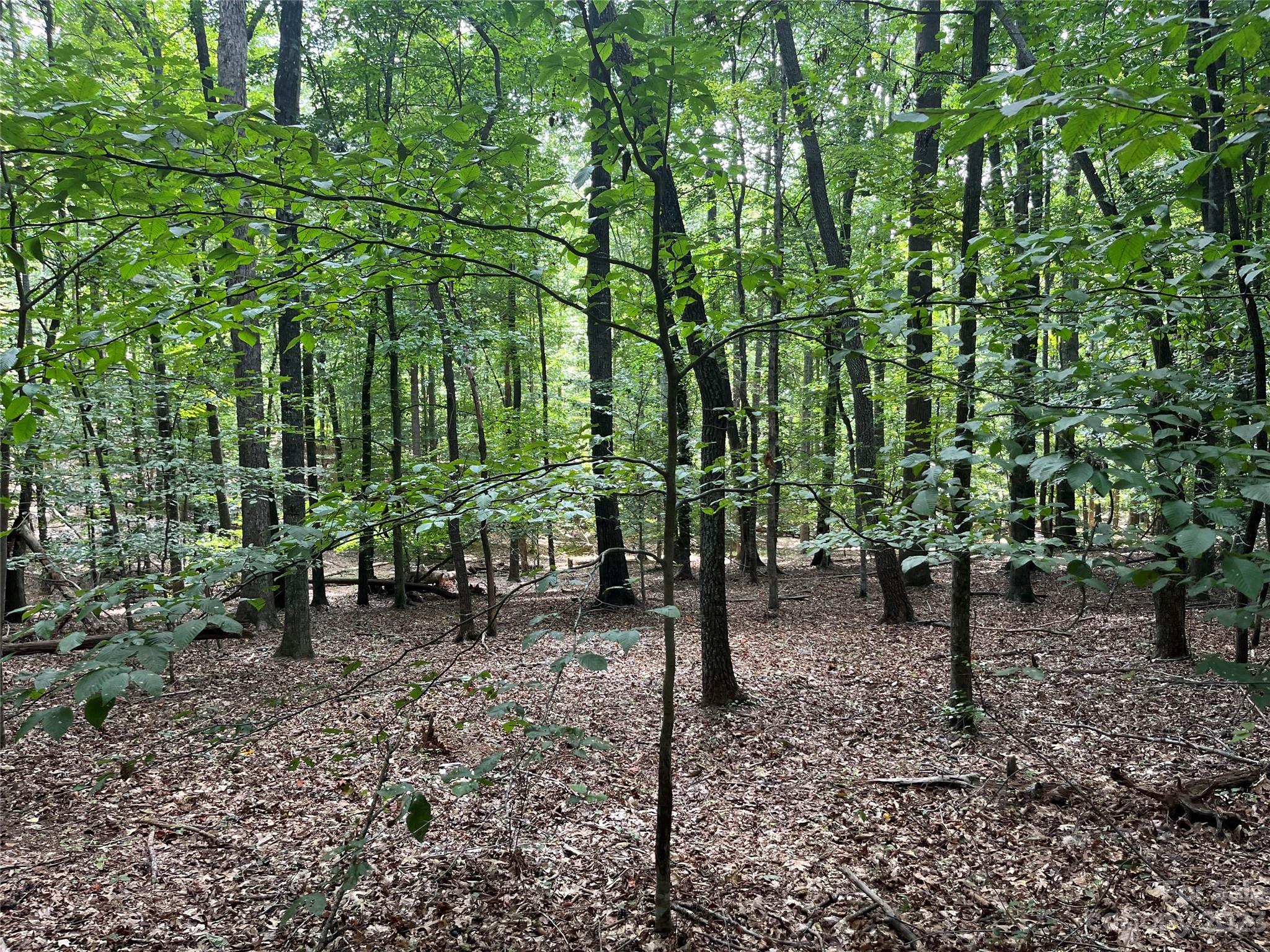 Acreage at 0 Fox Mountain Road, Columbus, photo 4 of 6