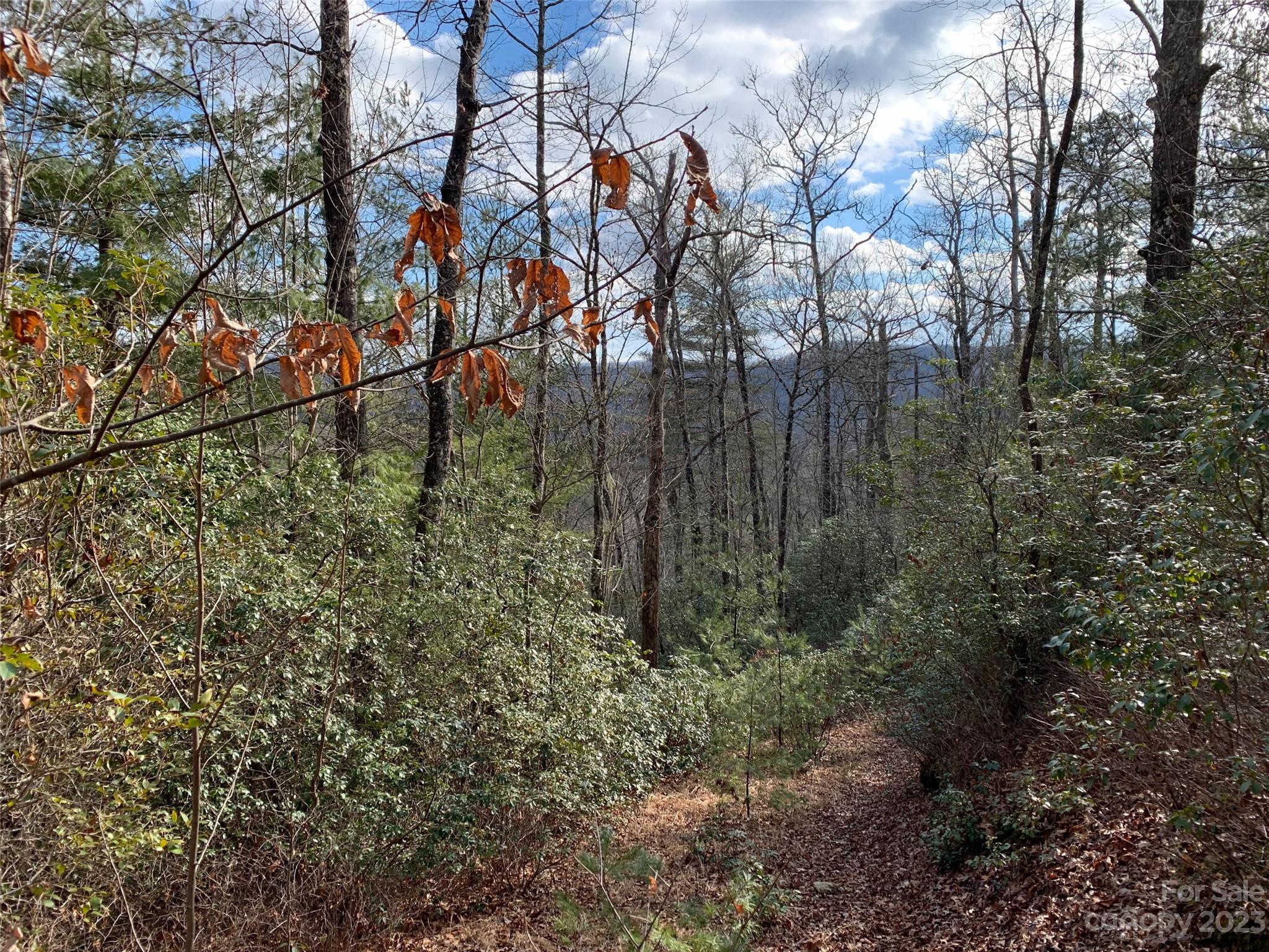 Lot at 91 Laurel Thicket Lane, Brevard, photo 3 of 5