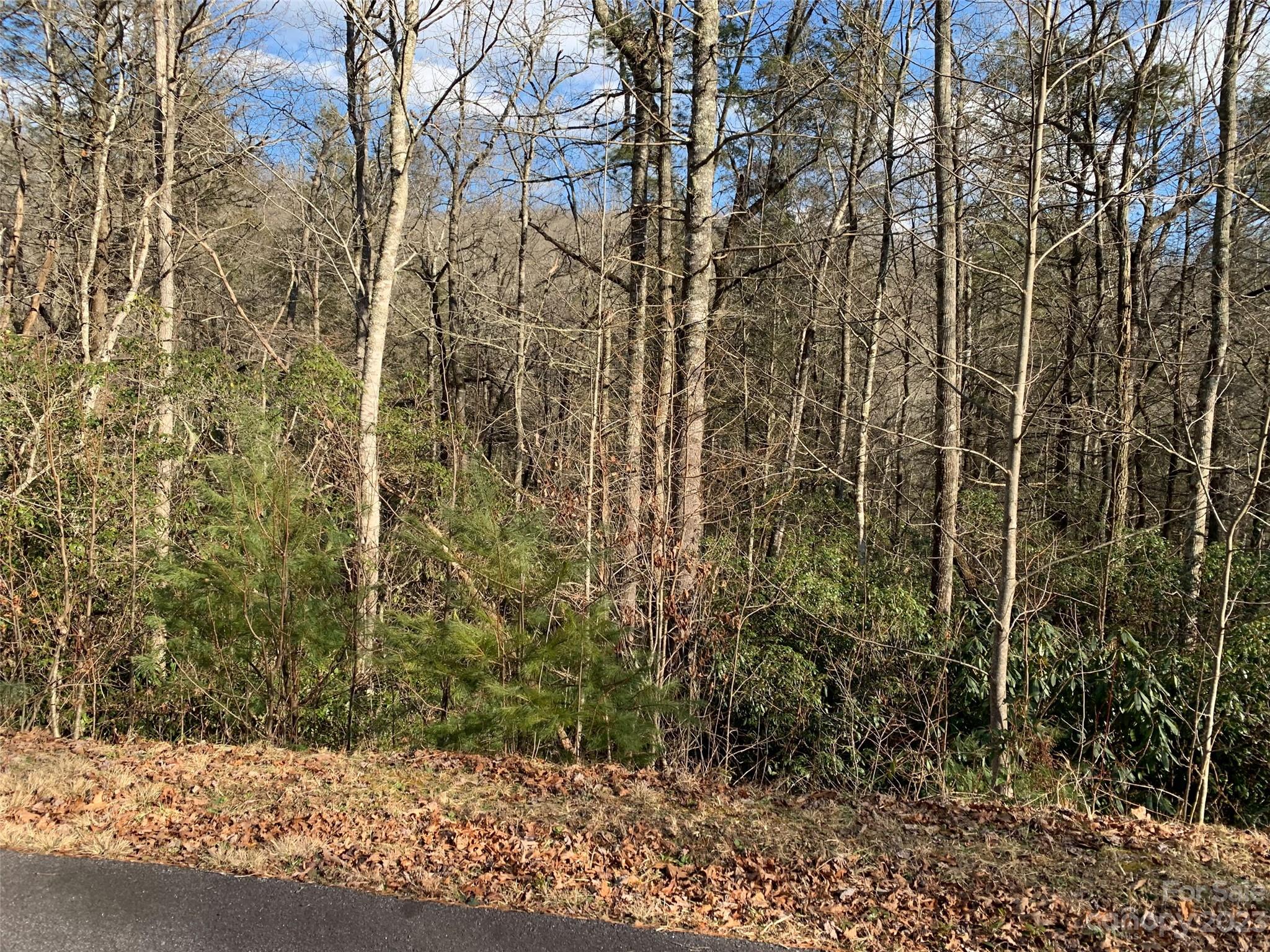 Lot at 126 Green Hollow Lane, Brevard, photo 3 of 5