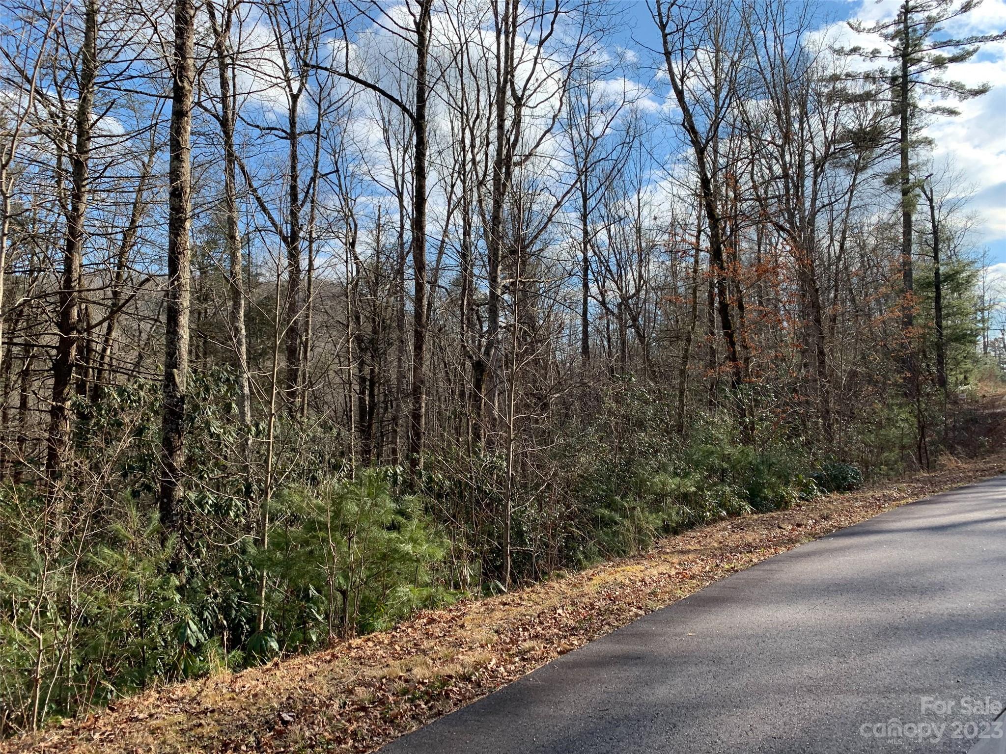 Lot at 126 Green Hollow Lane, Brevard, photo 4 of 5
