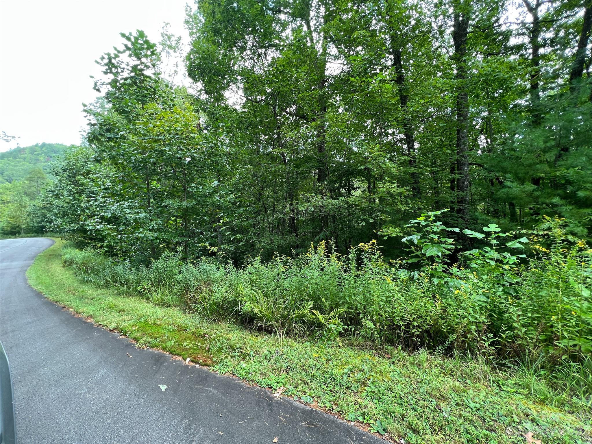 Lot at 103 Laurel Thicket Lane, Brevard, photo 2 of 3