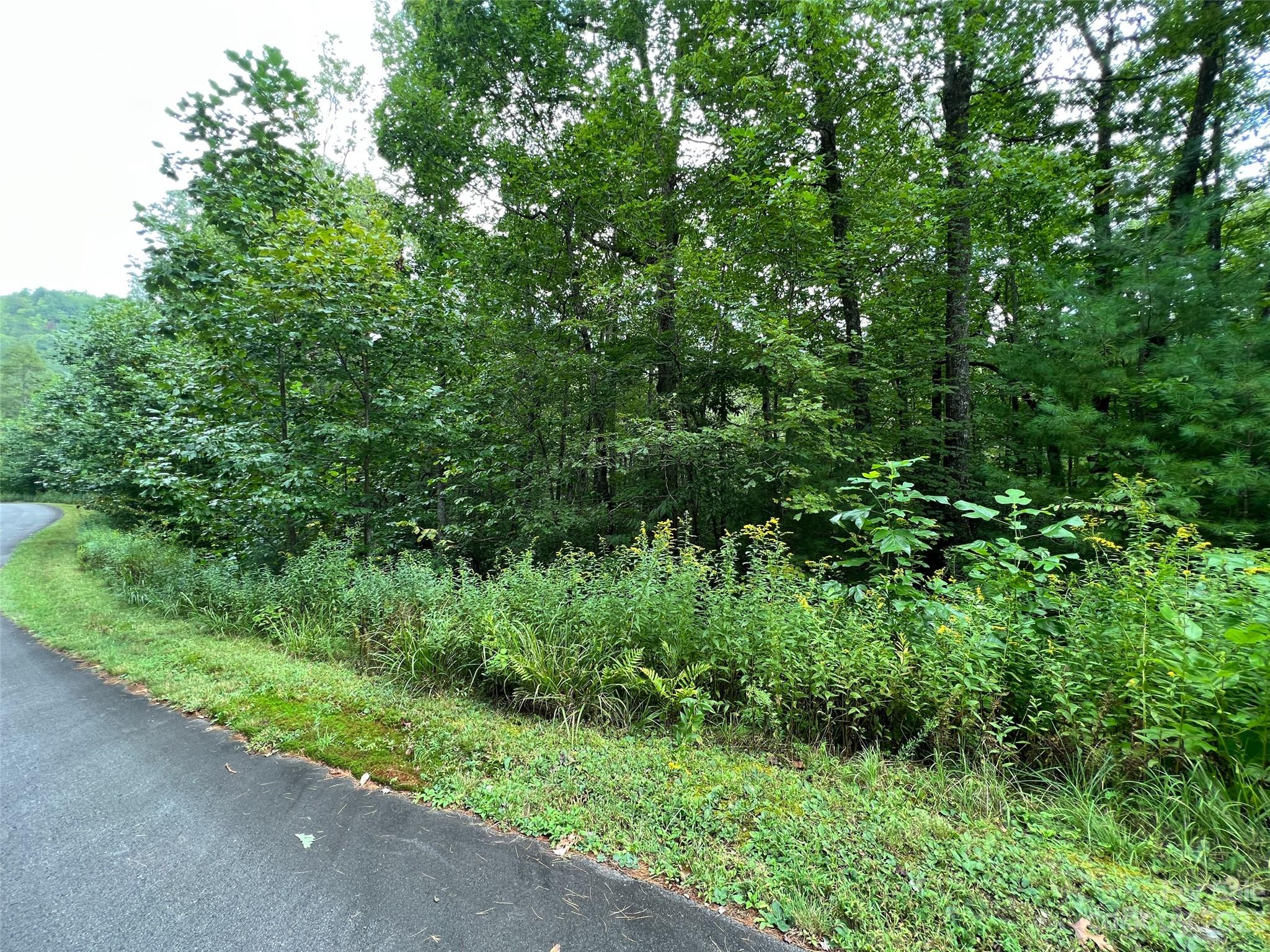 Lot at 103 Laurel Thicket Lane, Brevard, photo 3 of 3