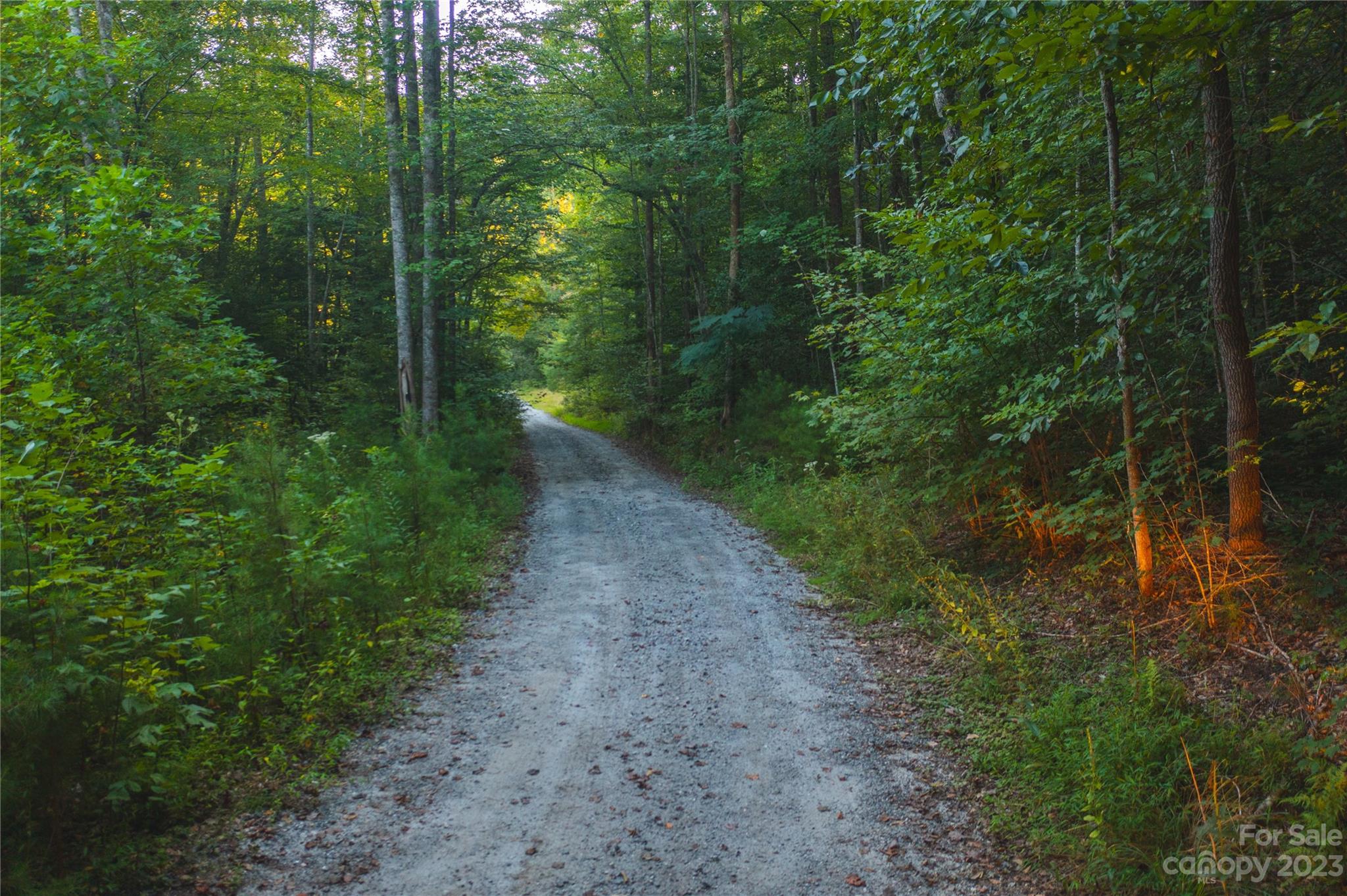 Acreage at 4157 Kirby Mountain Road, Lenoir, photo 2 of 24