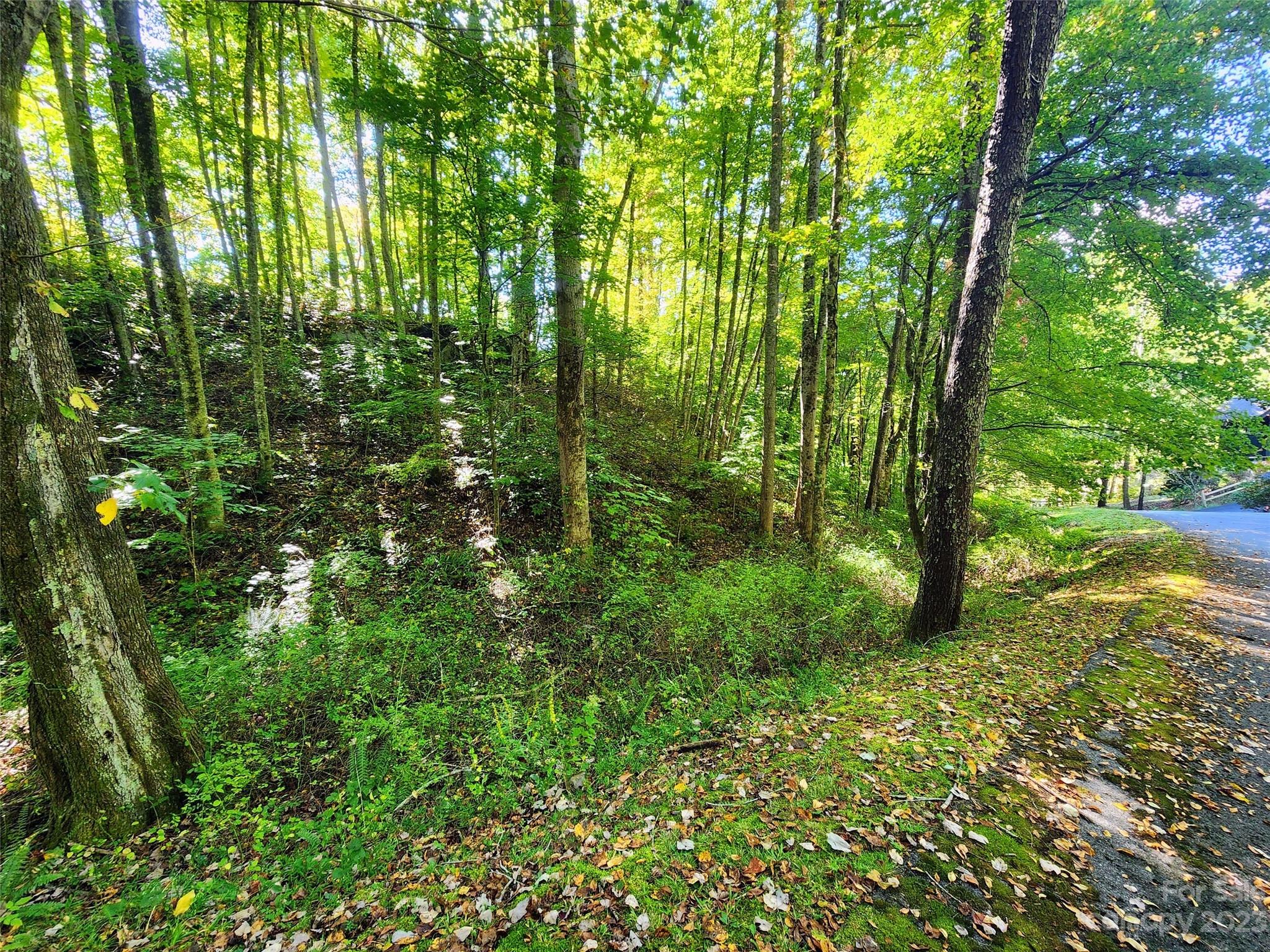 Lot at 00 Loblolly Way, Maggie Valley, photo 2 of 8