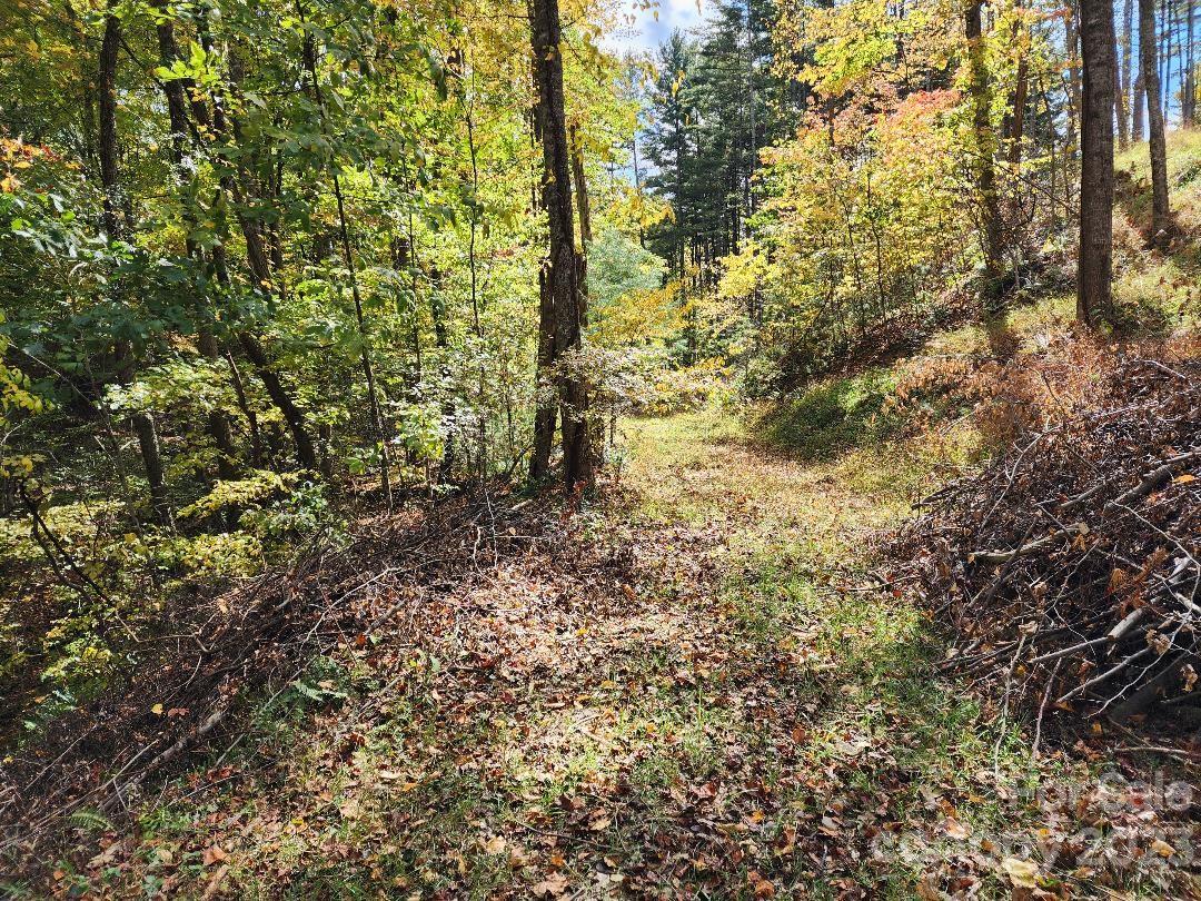 Access road near the center of the listing - 00 Thorncrest Drive, Burnsville