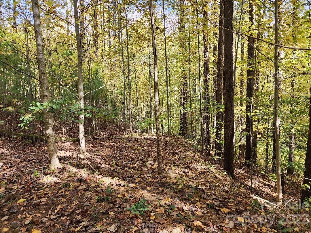 End of access road - 00 Thorncrest Drive, Burnsville