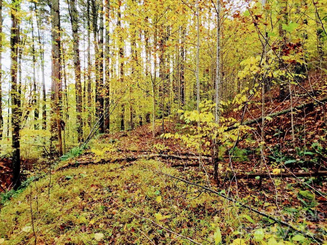 Access road leading to center of lot - 00 Thorncrest Drive, Burnsville