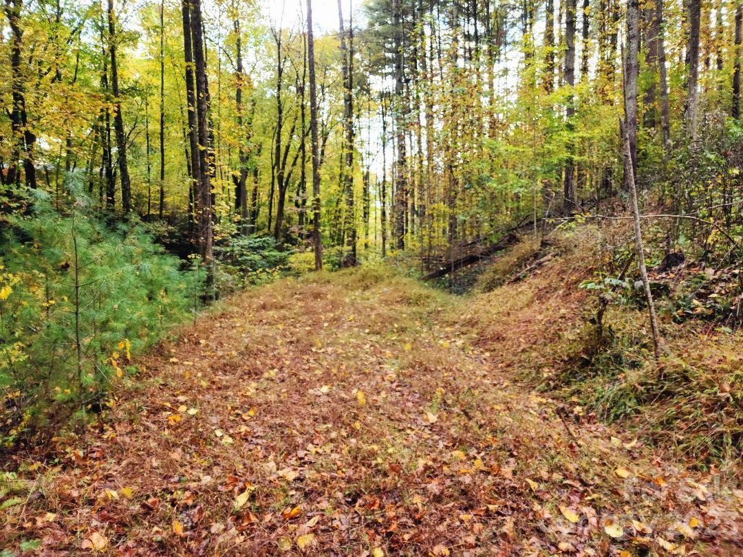 Access road near edge of lot - 00 Thorncrest Drive, Burnsville