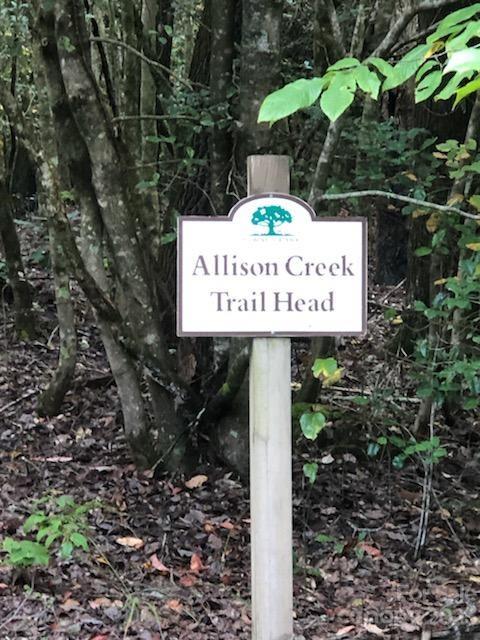 Lot at Lot M6 Pine Mountain Trail, Brevard, photo 9 of 21