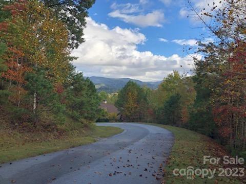 Lot at Lot M6 Pine Mountain Trail, Brevard, photo 10 of 21