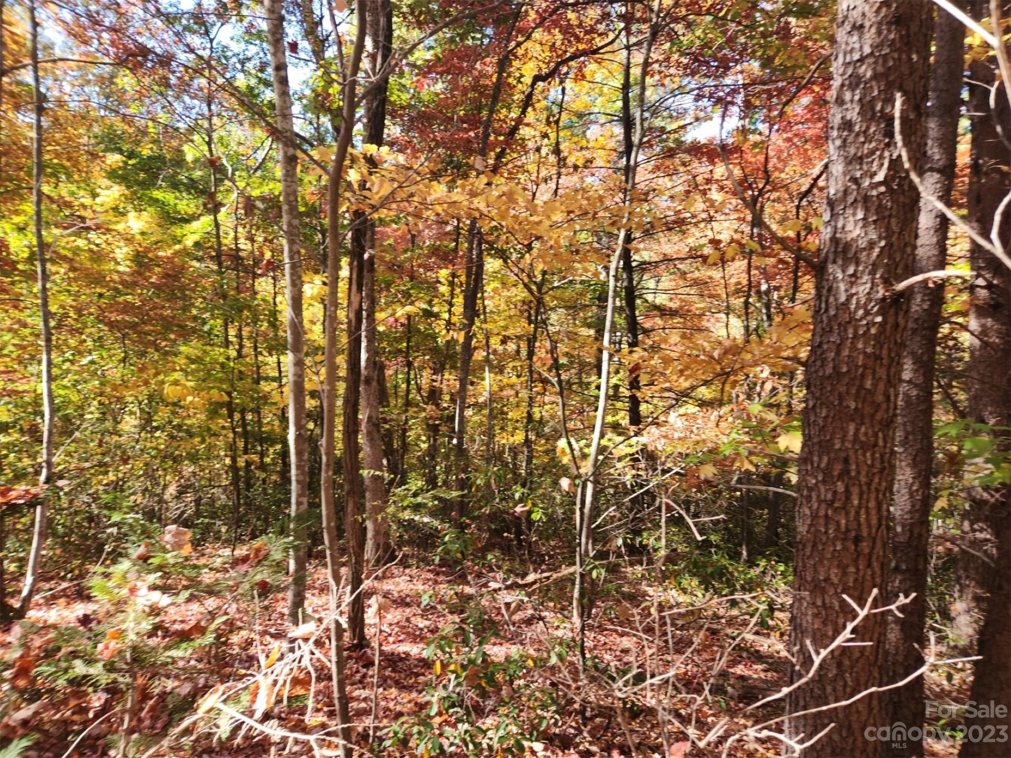 Lot at 00 Angel of the Lake Drive, Lake Lure, photo 2 of 8