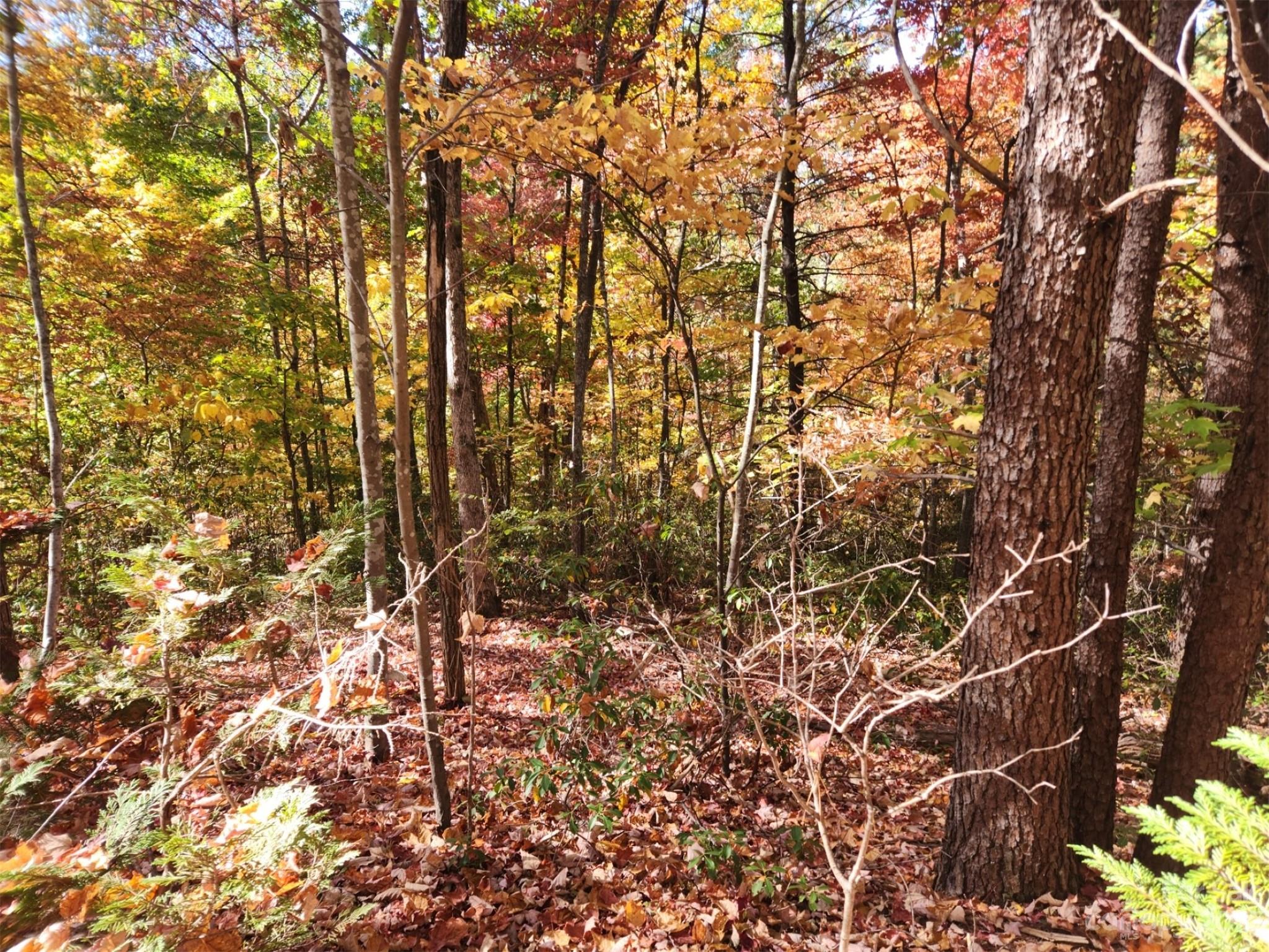 Lot at 00 Angel of the Lake Drive, Lake Lure, photo 3 of 8