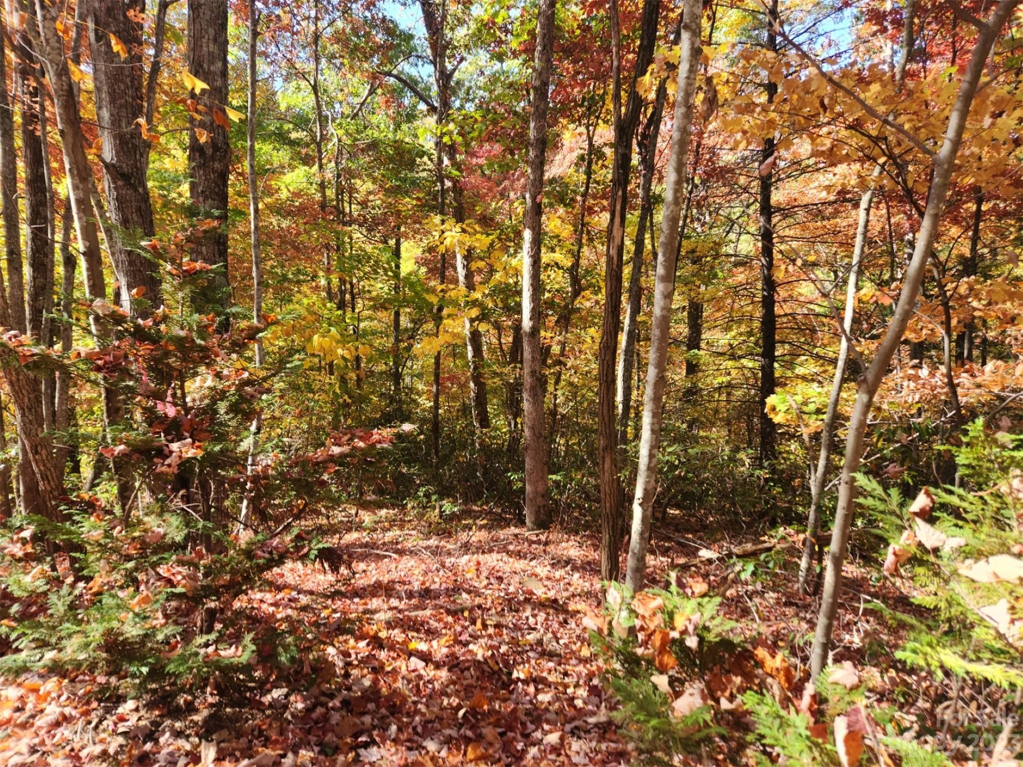Lot at 00 Angel of the Lake Drive, Lake Lure, photo 5 of 8