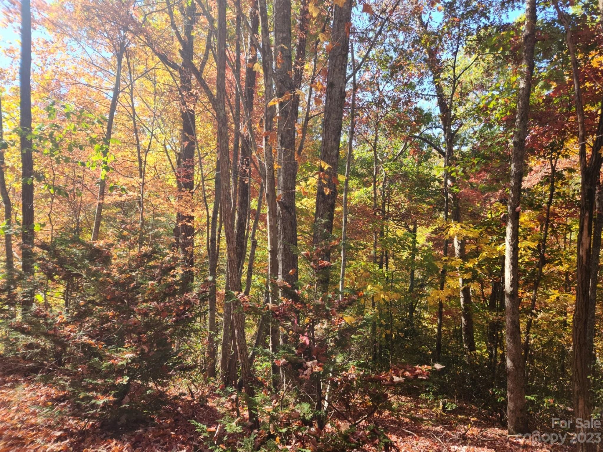 Lot at 00 Angel of the Lake Drive, Lake Lure, photo 6 of 8