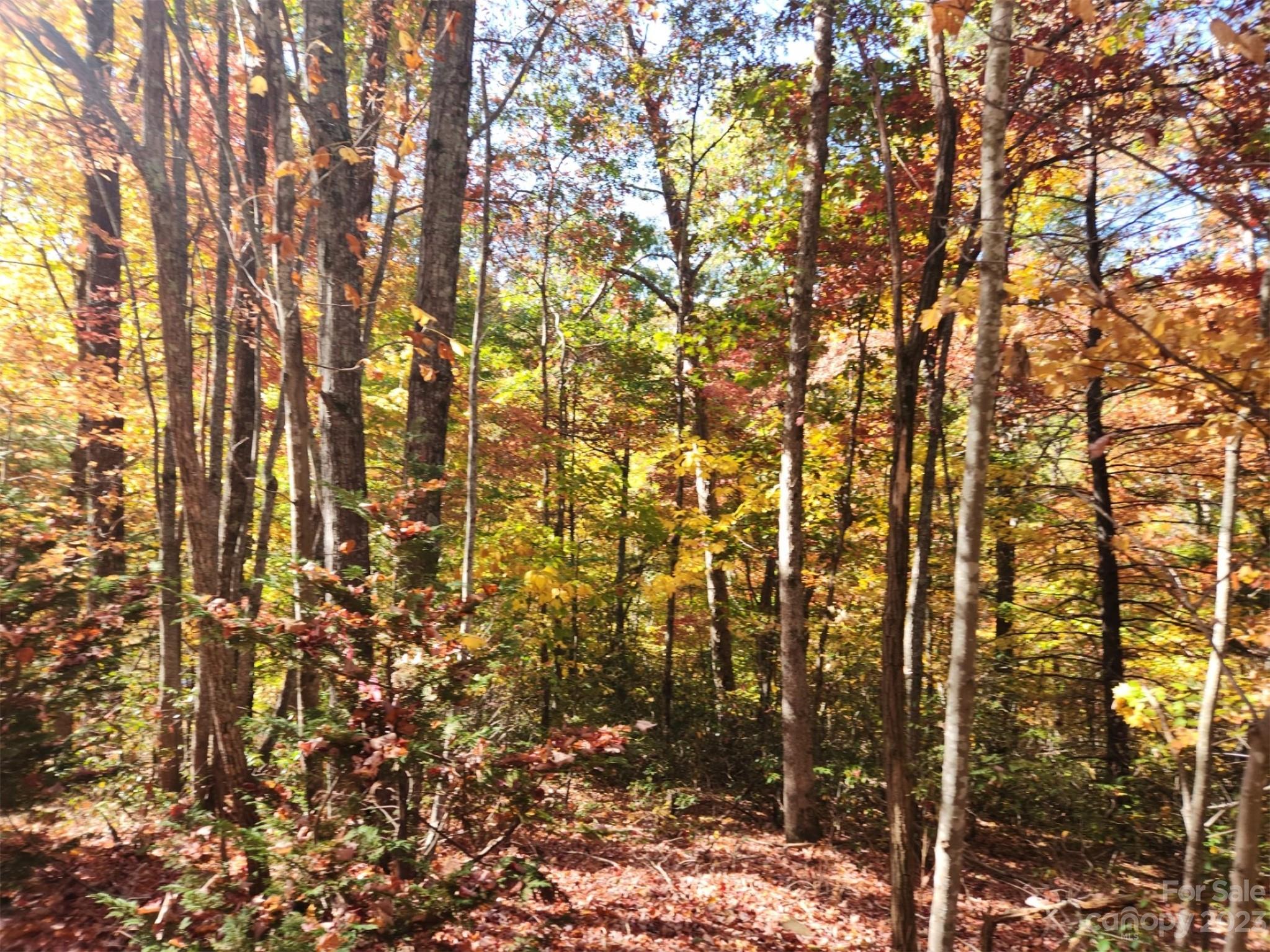 Lot at 00 Angel of the Lake Drive, Lake Lure, photo 7 of 8