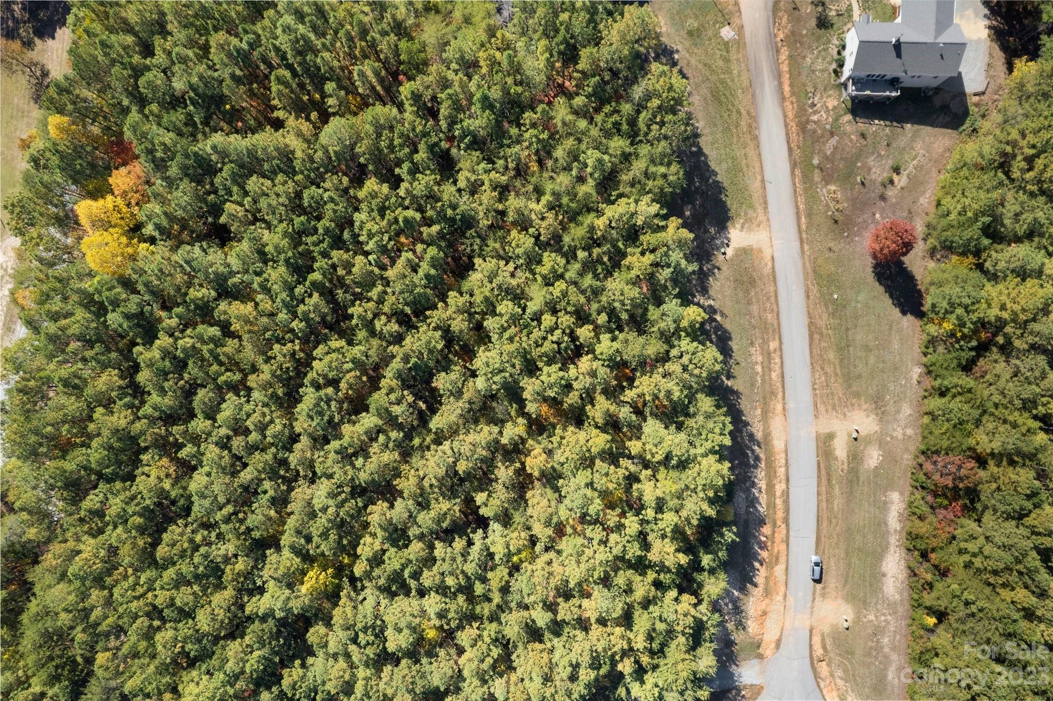 Lot at 0 Palisade Drive, Rutherfordton, photo 9 of 18
