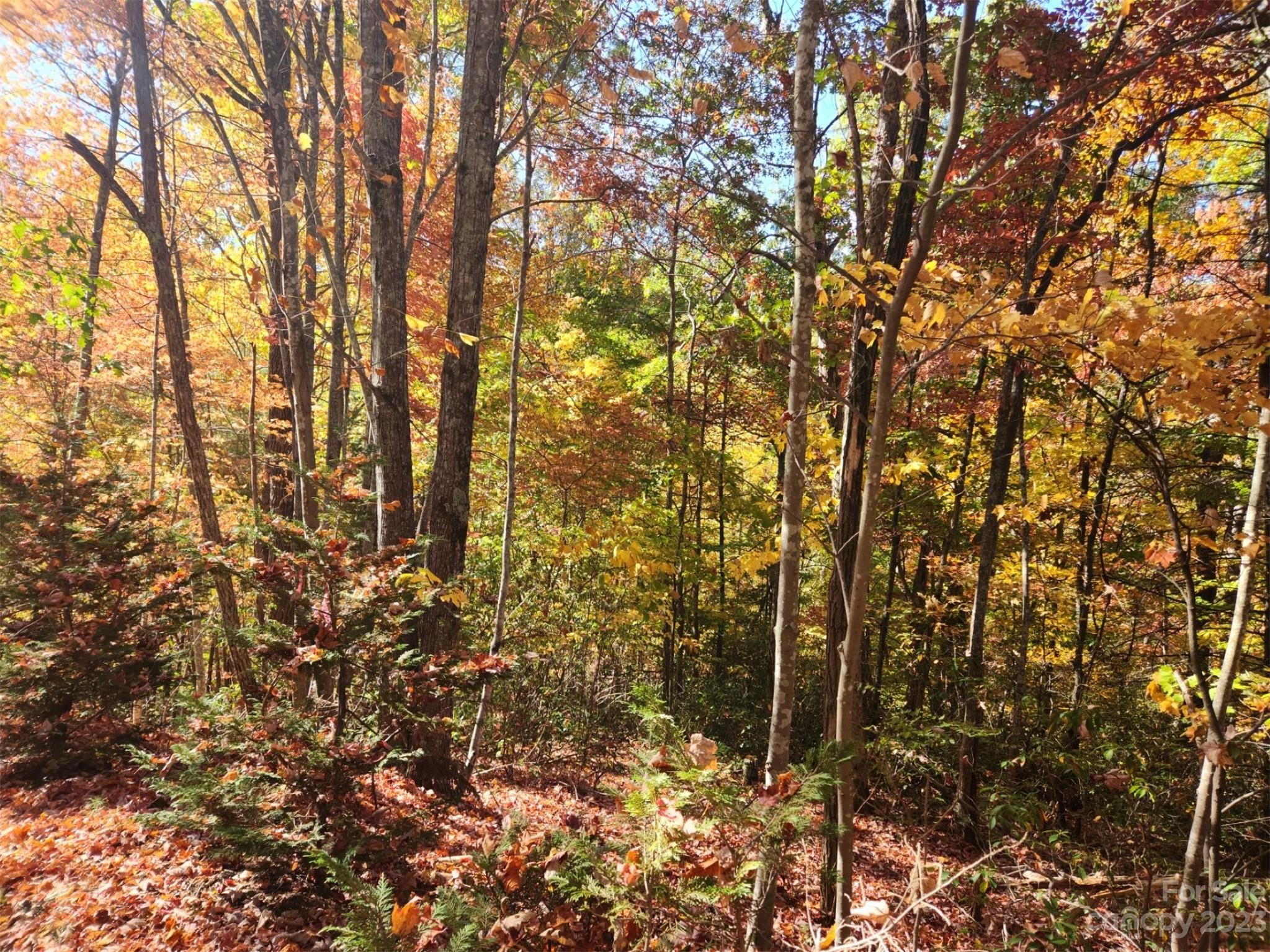 Lot at 00 Angel of the Lake Drive, Lake Lure