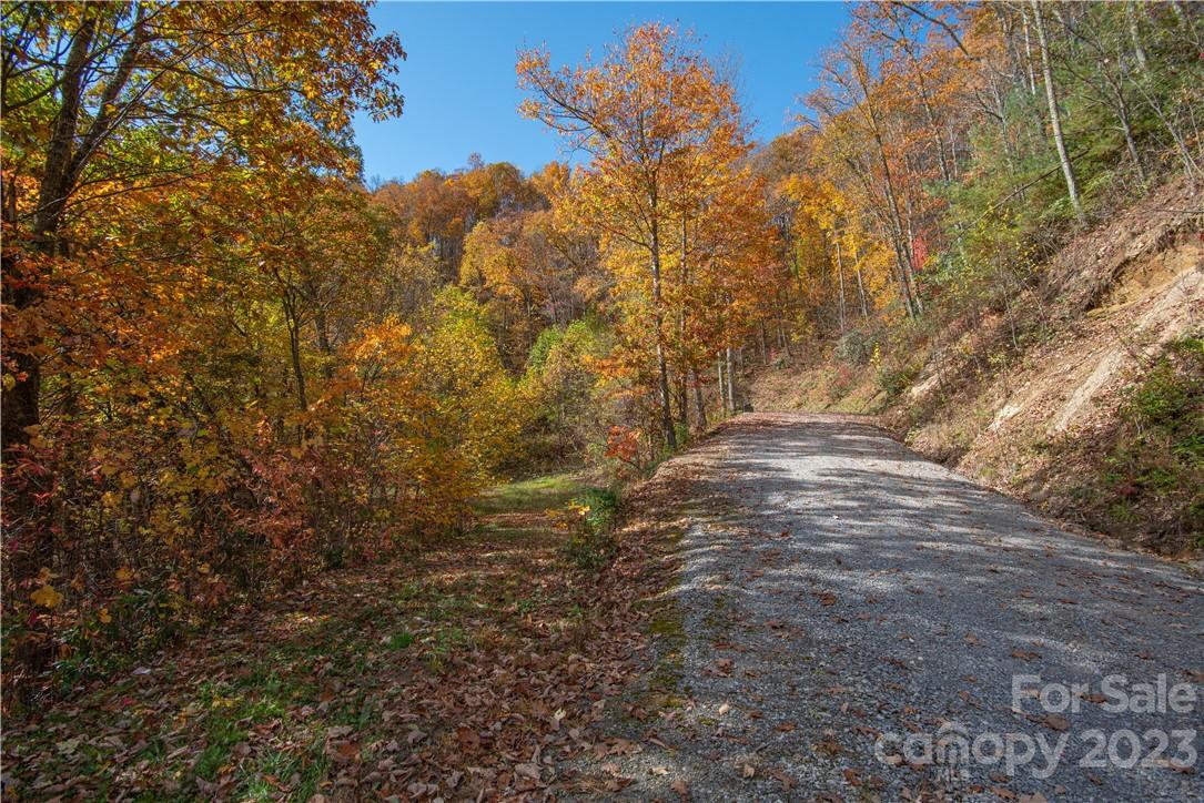 Acreage at Tract 3 Sigogglin Trail, Waynesville, photo 3 of 11