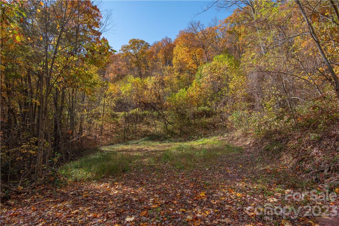 Acreage at Tract 3 Sigogglin Trail, Waynesville, photo 4 of 11