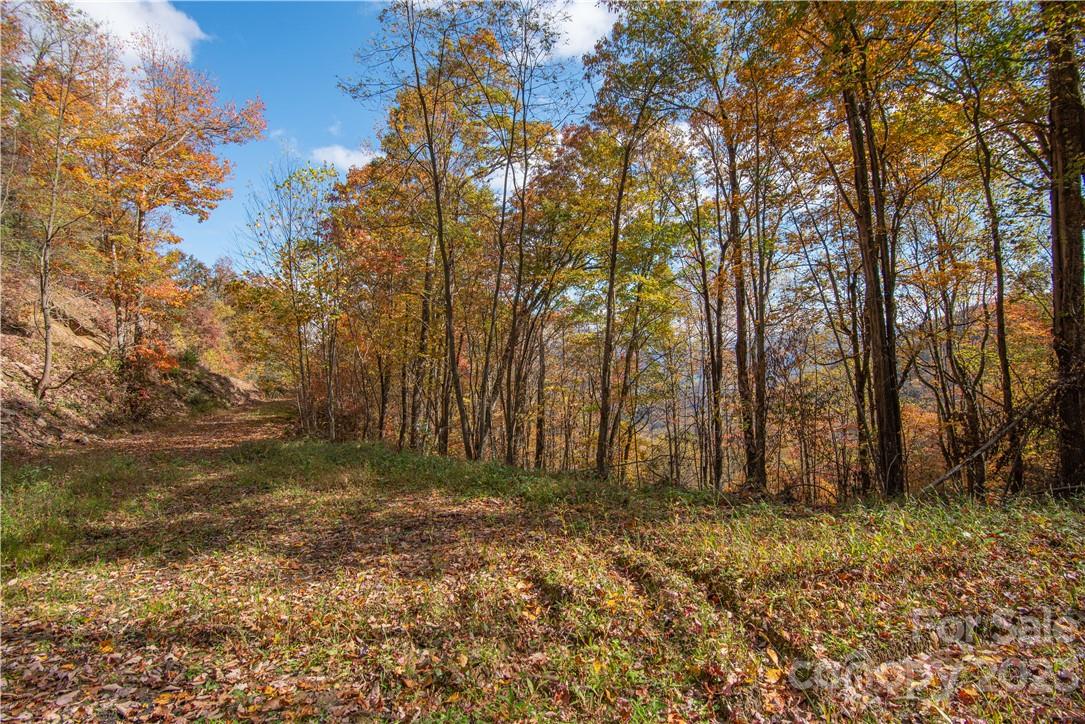 Acreage at Tract 3 Sigogglin Trail, Waynesville, photo 5 of 11
