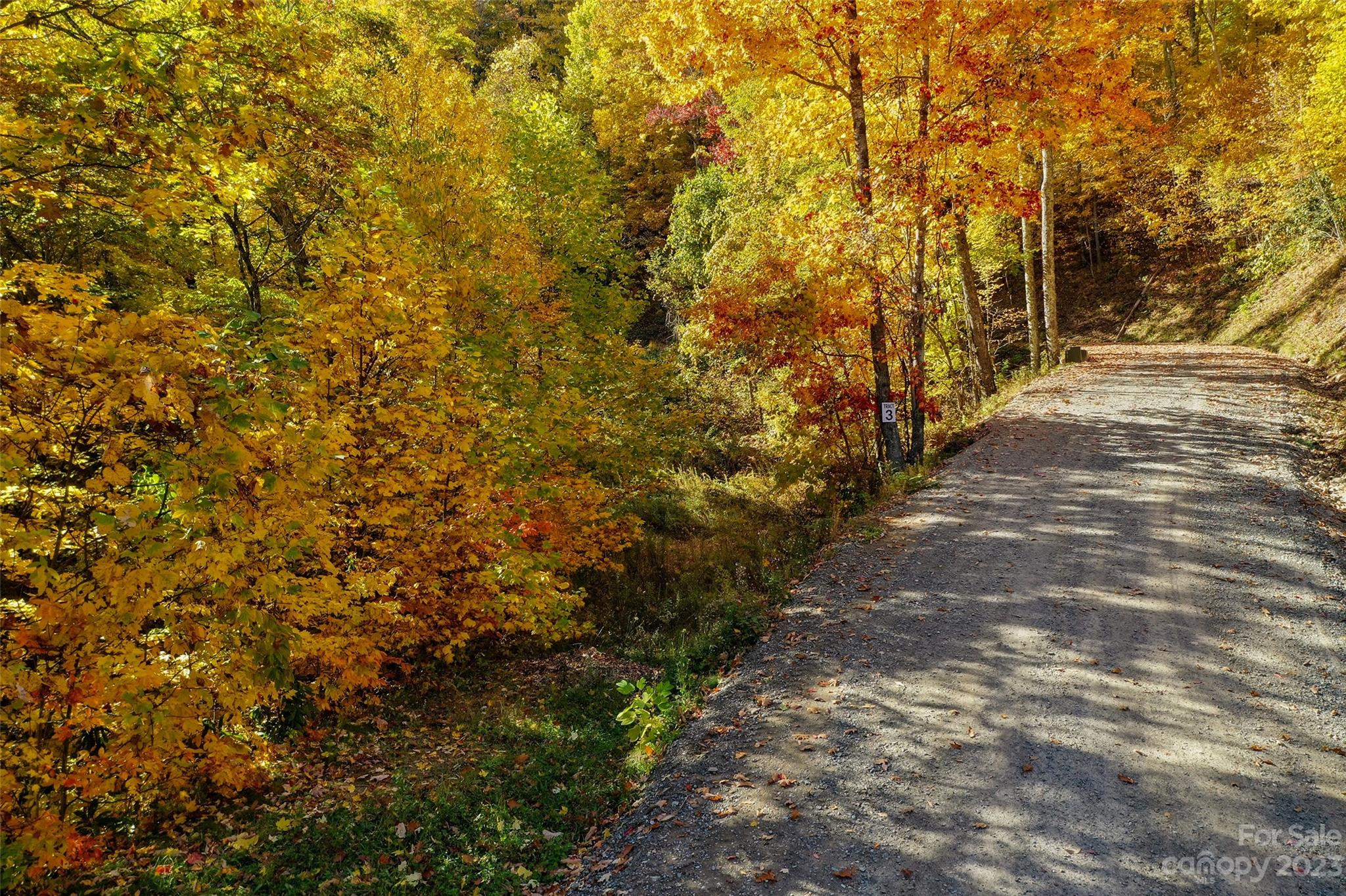 Acreage at Tract 3 Sigogglin Trail, Waynesville, photo 11 of 11
