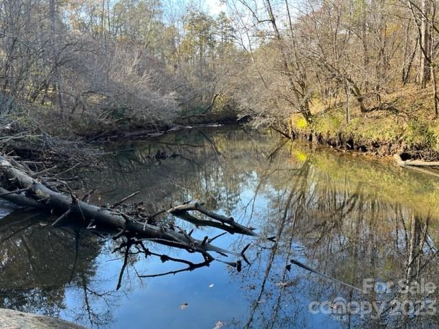 Acreage at TBD Shady Lane, Mill Spring, photo 3 of 7