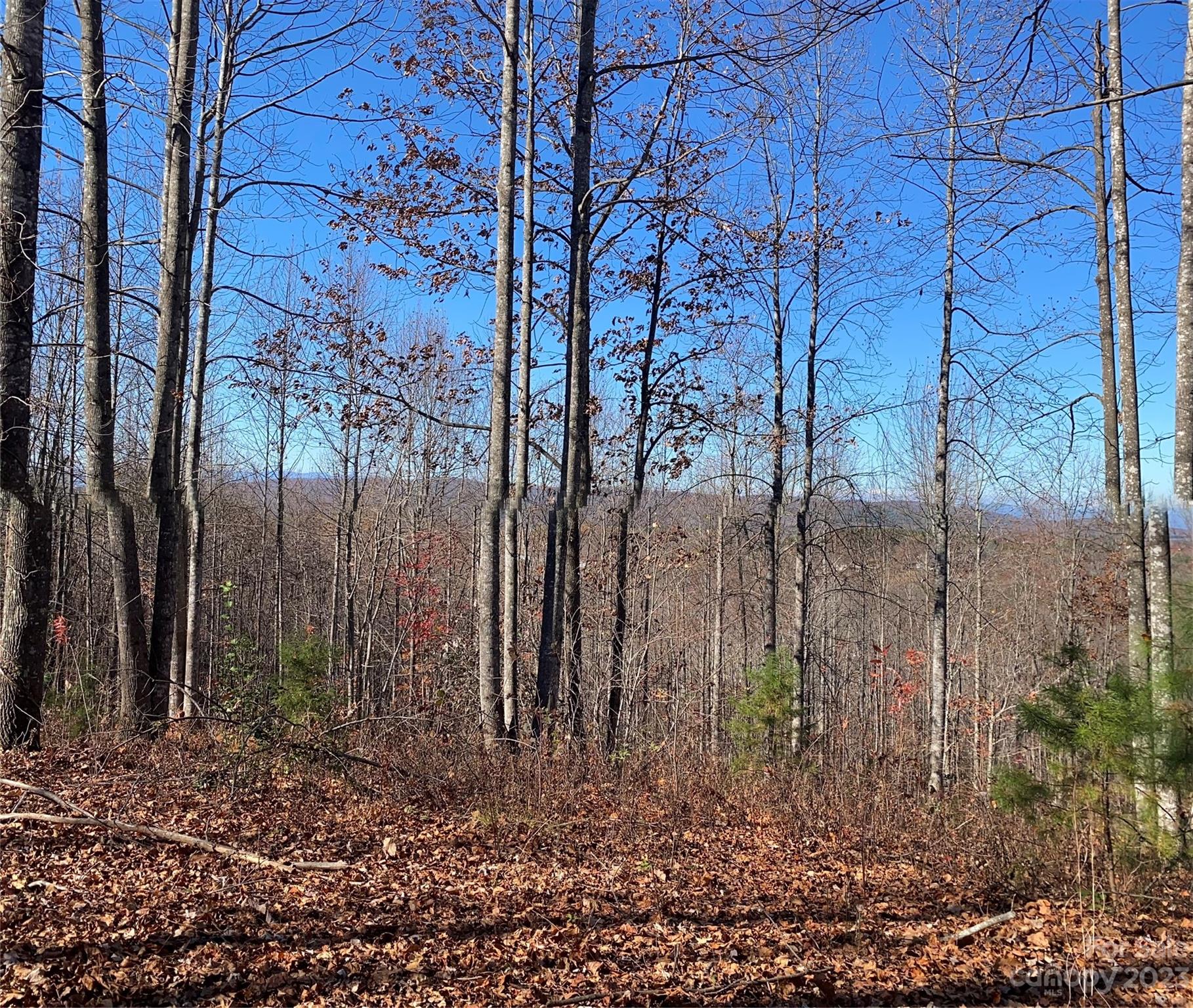 Lot at TBD Meditation Ridge Drive, Nebo, photo 2 of 15