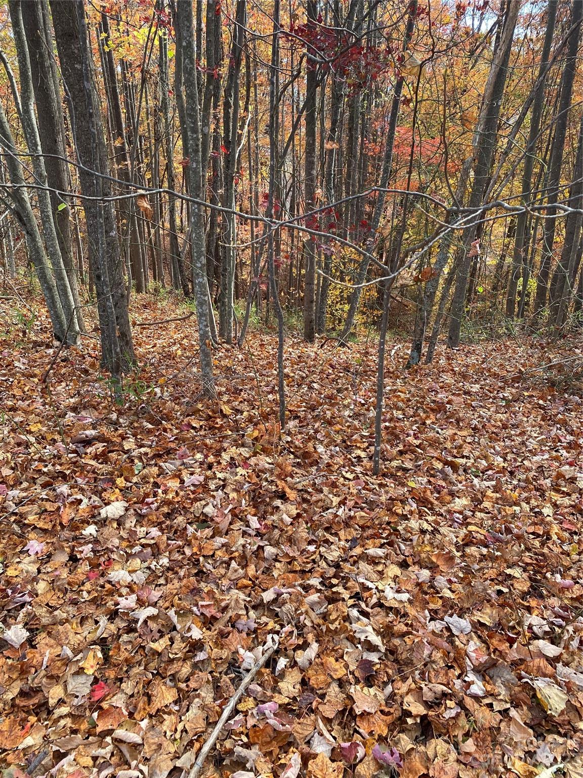 Lot at TBD Meditation Ridge Drive, Nebo, photo 15 of 15